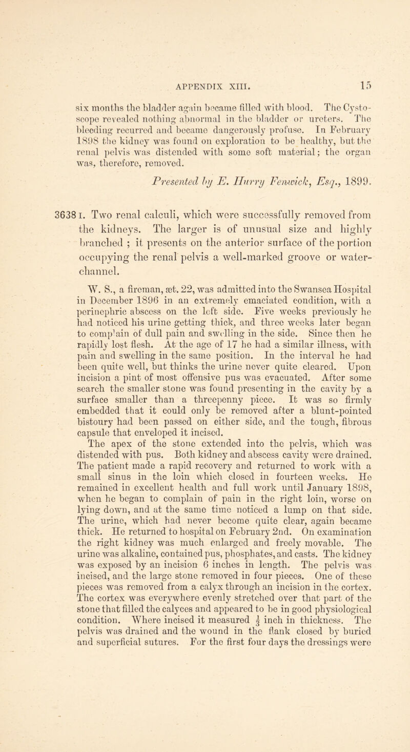 six months the bladder again became tilled with blood. The Cysto- scope revealed nothing abnormal in the bladder or ureters. The bleeding recurred and became dangerously profuse. In February 1898 the kidney was found on exploration to be healthy, but the renal pelvis was distended with some soft material; the organ was, therefore, removed. Presented by E. Ilurry Fenwick, Esq., 1899. 36381. Two renal calculi, which were successfully removed from the kidneys. The larger is of unusual size and highly branched ; it presents on the anterior surface of the portion occupying the renal pelvis a well-marked groove or water- channel. W. S., a fireman, set. 22, was admitted into the Swansea Hospital in December 1896 in an extremely emaciated condition, with a perinephric abscess on the loft side. Five weeks previously he had noticed his urine getting thick, and three weeks later began to complain of dull pain and swelling in the side. Since then he rapidly lost flesh. At the age of 17 he had a similar illness, with pain and swelling in the same position. In the interval he had been quite well, but thinks the urine never quite cleared. Upon incision a pint of most offensive pus was evacuated. After some search the smaller stone was found presenting in the cavity by a surface smaller than a threepenny piece. It was so firmly embedded that it could only be removed after a blunt-pointed bistoury had been passed on either side, and the tough, fibrous capsule that enveloped it incised. The apex of the stone extended into the pelvis, which was distended with pus. Both kidney and abscess cavity were drained. The patient made a rapid recovery and returned to work with a small sinus in the loin which closed in fourteen weeks. Ho remained in excellent health and full work until January 1898, when he began to complain of pain in the right loin, worse on lying down, and at the same time noticed a lump on that side. The urine, which had never become quite clear, again became thick. He returned to hospital on February 2nd. On examination the right kidney was much enlarged and freely movable. The urine was alkaline, contained pus, phosphates, and casts. The kidney was exposed by an incision 6 inches in length. The pelvis was incised, and the large stone removed in four pieces. One of these pieces was removed from a calyx through an incision in the cortex. The cortex was everywhere evenly stretched over that part of the stone that filled the calyces and appeared to be in good physiological condition. Where incised it measured g inch in thickness. The pelvis was drained and the wound in the flank closed by buried and superficial sutures. For the first four days the dressings were