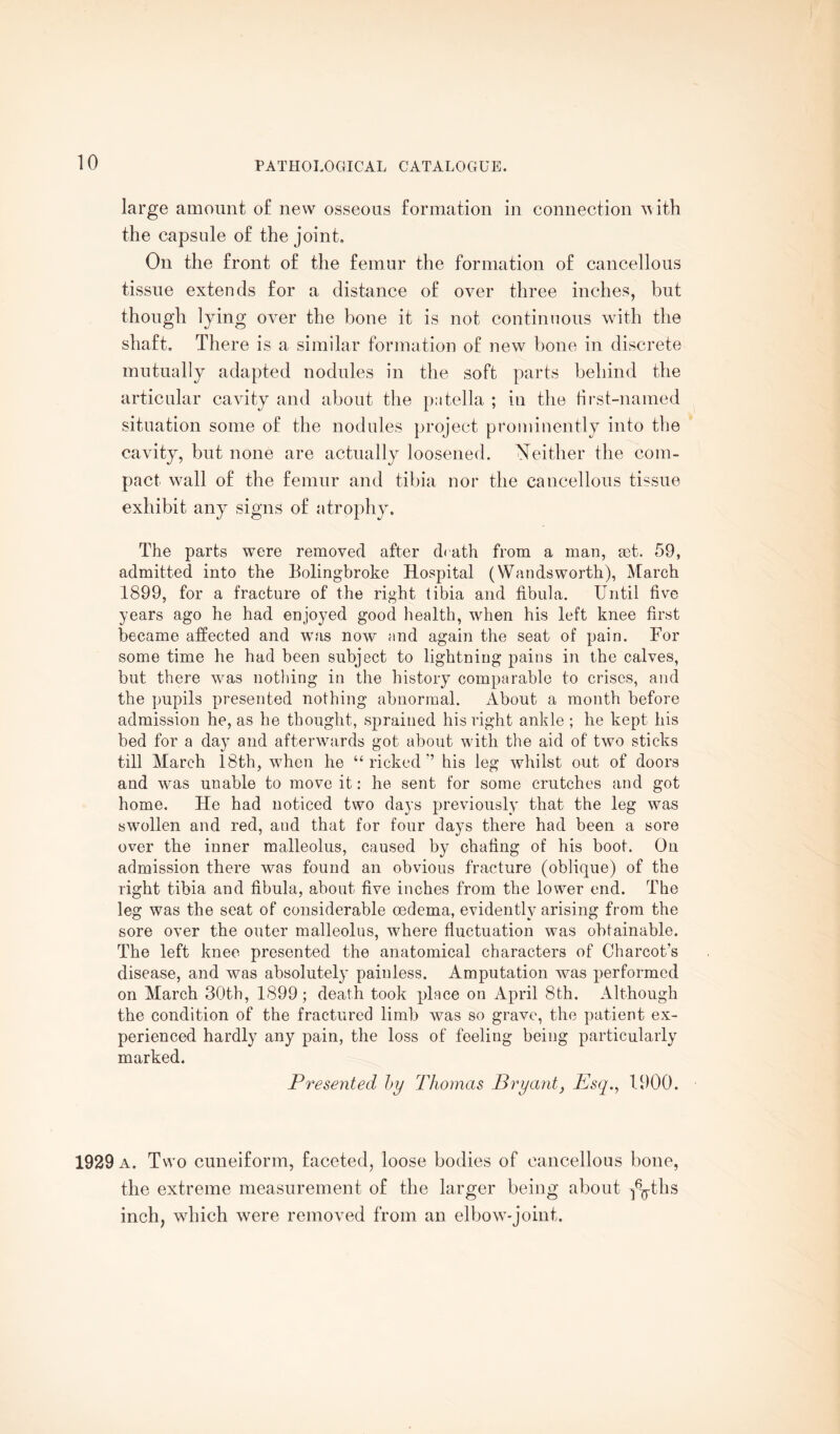 large amount of new osseous formation in connection with the capsule of the joint. On the front of the femur the formation of cancellous tissue extends for a distance of over three inches, but though lying over the bone it is not continuous with the shaft. There is a similar formation of new bone in discrete mutually adapted nodules in the soft parts behind the articular cavity and about the patella ; in the first-named situation some of the nodules project prominently into the cavity, but none are actually loosened. Neither the com¬ pact wall of the femur and tibia nor the cancellous tissue exhibit any signs of atrophy. The parts were removed after d< ath from a man, mt. 59, admitted into the Uolingbroke Hospital (Wandsworth), March 1899, for a fracture of the right tibia and fibula. Until five years ago he had enjoyed good health, when his left knee first became affected and was now and again the seat of pain. For some time he had been subject to lightning pains in the calves, but there was nothing in the history comparable to crises, and the pupils presented nothing abnormal. About a month before admission he, as he thought, sprained his right ankle ; he kept his bed for a day and afterwards got about with the aid of two sticks till March 18th, when he “ricked” his leg whilst out of doors and was unable to move it: he sent for some crutches and got home. He had noticed two days previously that the leg was swollen and red, and that for four days there had been a sore over the inner malleolus, caused by chafing of his boot. On admission there was found an obvious fracture (oblique) of the right tibia and fibula, about five inches from the lower end. The leg was the seat of considerable oedema, evidently arising from the sore over the outer malleolus, where fluctuation was obtainable. The left knee presented the anatomical characters of Charcot’s disease, and was absolutely painless. Amputation was performed on March 30th, 1899; death took place on April 8th. Although the condition of the fractured limb was so grave, the patient ex¬ perienced hardly any pain, the loss of feeling being particularly marked. Presented by Thomas Bryant, Esq., 1900. 1929 a. Two cuneiform, faceted, loose bodies of cancellous bone, the extreme measurement of the larger being about ^ths inch, which were removed from an elbow-joint.