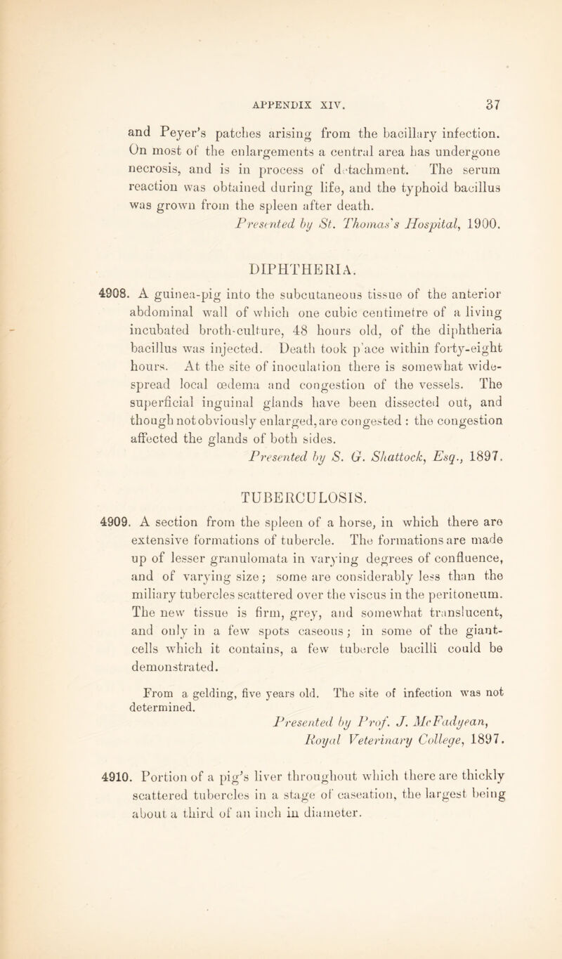 and Peyer’s patches arising from the bacillary infection. On most of the enlargements a central area has undergone O o necrosis, and is in process of detachment. The serum reaction was obtained during life, and the typhoid bacillus was grown from the spleen after death. Presented by St. Thomas's Hospital, 1900. DIPHTHERIA. 4908. A guinea-pig into the subcutaneous tissue of the anterior abdominal wall of which one cubic centimetre of a living incubated broth-culture, 48 hours old, of the diphtheria bacillus was injected. Death took p ace within forty-eight hours. At the site of inoculation there is somewhat wide¬ spread local oedema and congestion of the vessels. The superficial inguinal glands have been dissected out, and though not obviously enlarged, are congested : the congestion affected the glands of both sides. Presented by S. G. Shattock, Esq., 1897. TUBERCULOSIS. 4909. A section from the spleen of a horse, in which there are extensive formations of tubercle. The formations are made up of lesser granulomata in varying degrees of confluence, and of varying size; some are considerably less than the miliary tubercles scattered over the viscus in the peritoneum. The new tissue is firm, grey, and somewhat translucent, and only in a few7 spots caseous; in some of the giant- cells which it contains, a few tubercle bacilli could be demonstrated. Prom a gelding, determined. five years old. The site of infection was not Presented by Prof. J. McFadyean, Royal Veterinary College, 1897, 4910. Portion of a pig^s liver throughout which there are thickly scattered tubercles in a stage of caseation, the largest being about a third of an inch in diameter.