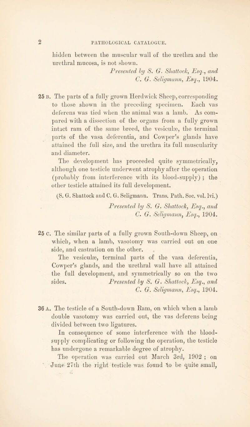 hidden between the muscular wall of the urethra and the urethral mucosa, is not shown. Presented by S. G. Shattock, Esq., and C. G. Seligmann, Esq., 1904. 25 b. The parts of a fully grown Herdwick Sheep, corresponding to those shown in the preceding specimen. Each vas deferens was tied when the animal was a lamb. As com¬ pared with a dissection of the organs from a fully grown intact ram of the same breed, the vesiculse, the terminal parts of the vasa defer entia, and CowpeEs glands have attained the full size, and the urethra its full muscularity and diameter. The development has proceeded quite symmetrically, although one testicle underwent atrophy after the operation (probably from interference with its blood-supply) ; the other testicle attained its full development. (S. G. Shattock and C. G. Seligmann. Trans. Path. Soc. vol. lvi.) Presented by S, G. Shattock, Esq., and C. G. Seligmann, Esq., 1904. 25 c. The similar parts of a fully grown South-down Sheep, on which, when a lamb, vasotomy was carried out on one side, and castration on the other. The vesiculse, terminal parts of the vasa deferentia, Cowper’s glands, and the urethral wall have all attained the full development, and symmetrically so on the two sides. Presented by S. G. Shattock, Esq., and C. G. Seligmann, Esq., 1904. 36 A. The testicle of a South-down Earn, on which when a lamb double vasotomy was carried out, the vas deferens being divided between two ligatures. In consequence of some interference with the blood- supply complicating or following the operation, the testicle has undergone a remarkable degree of atrophy. The operation was carried out March 3rd, 1902 ; on June 27th the right testicle was found to be quite small,