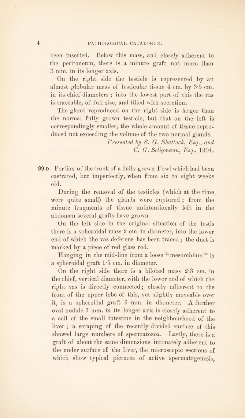 been inserted. Below this mass, and closely adherent to the peritoneum, there is a minute graft not more than 3 mm. in its longer axis. On the right side the testicle is represented by an almost globular mass of testicular tissue 4 cm. by 3*5 cm. in its chief diameters ; into the lowest part of this the vas is traceable, of full size, and filled with secretion. The gland reproduced on the right side is larger than the normal fully grown testicle, but that on the left is correspondingly smaller, the whole amount of tissue repro¬ duced not exceeding the volume of the two normal glands. Presented by S. G. Shattock, Esq., and C. G. Seligmann, Esq., 1904. 99 D. Portion of the trunk of a fully grown Fowl which had been castrated, but imperfectly, when from six to eight weeks old. During the removal of the testicles (which at the time were quite small) the glands were ruptured ; from the minute fragments of tissue unintentionally left in the abdomen several grafts have grown. On the left side in the original situation of the testis there is a spheroidal mass 2 cm. in diameter, into the lower end of which the vas deferens has been traced; the duct is marked by a piece of red glass rod. Hanging in the mid-line from a loose u mesorchium ” is a spheroidal graft 1*5 cm. in diameter. On the right side there is a bilobed mass 2*3 cm. in the chief, vertical diameter, with the lower end of which the right vas is directly connected; closely adherent to the front of the upper lobe of this, yet slightly moveable over it, is a spheroidal graft 6 mm. in diameter. A further oval nodule 7 mm. in its longer axis is closely adherent to a coil of the small intestine in the neighbourhood of the liver ; a scraping of the recently divided surface of this showed large numbers of spermatozoa. Lastly, there is a graft of about the same dimensions intimately adherent to the under surface of the liver, the microscopic sections of which show typical pictures of active spermatogenesis.
