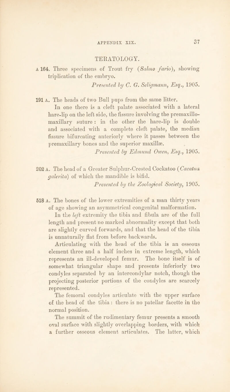 TERATOLOGY. A 164. Three specimens of Trout fry (Salma fario), showing triplication of the embryo. Presented by C. G. Seligmann, Esq., 1905. 191 A. The heads of two Ball pops from the same litter. In one there is a cleft palate associated with a lateral hare-lip on the left side, the fissure involving the premaxillo- maxillary suture : in the other the hare-lip is double and associated with a complete cleft palate, the median fissure bifurcating anteriorly where it passes between the premaxillary bones and the superior maxillae. Presented by Edmund Given, Esq., 1905. 202 A. The head of a Greater Sulphur-Crested Cockatoo (Cacatua galerita) of which the mandible is bifid. Presented by the Zoological Society, 1905. 518 A. The bones of the lower extremities of a man thirty years of age showing an asymmetrical congenital malformation. In the left extremity the tibia and fibula are of the full length and present no marked abnormality except that both are slightly curved forwards, and that the head of the tibia is unnaturally flat from before backwards. Articulating with the head of the tibia is an osseous element three and a half inches in extreme length, which represents an ill-developed femur. The bone itself is of somewhat triangular shape and presents interiorly two condyles separated by an intercondylar notch, though the projecting posterior portions of the condyles are scarcely represented. The femoral condyles articulate with the upper surface of the head of the tibia : there is no patellar facette in the normal position. The summit of the rudimentary femur presents a smooth oval surface with slightly overlapping borders, with which a further osseous element articulates. The latter, which