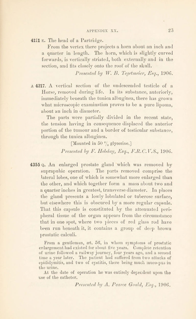 4121 e. The head of a Partridge. From the vertex there projects a horn about an inch and a quarter in length. The horn, which is slightly curved forwards, is vertically striated, both externally and in the section, and fits closely onto the roof of the skull. Presented by W. B. Tegetmeier, jEsq., 1906. A 4217. A vertical section of the undescended testicle of a Horse, removed during life. In its substance, anteriorly, immediately beneath the tunica albuginea, there has grown what microscopic examination proves to be a pure lipoma, about an inch in diameter. The parts were partially divided in the recent state, the tension having in consequence displaced the anterior portion of the tumour and a border of testicular substance, through the tunica albuginea. [Mounted in 50 °/0 glycerine.] Presented by F. Hobday, Esq., F.R.C.V.S., 1906. 4355 Q. An enlarged prostate gland which was removed by suprapubic operation. The parts removed comprise the lateral lobes, one of which is somewhat more enlarged than the other, and which together form a mass about two and a quarter inches in greatest, transverse diameter. In places the gland presents a lowly lobulated or tuberose surface, but elsewhere this is obscured by a more regular capsule. That this capsule is constituted by the attenuated peri¬ pheral tissue of the organ appears from the circumstance that in one spot, where two pieces of red glass rod have been run beneath it, it contains a group of deep brown prostatic calculi. From a gentleman, set. 56, in whom symptoms of prostatic enlargement had existed for about live years. Complete retention of urine followed a railway journey, four years ago, and a second time a year later. The patient had suffered from two attacks of epididymitis, and two of cystitis, there being much muco-pus in the urine. At the date of operation ho was entirely dependent upon the use of the catheter.