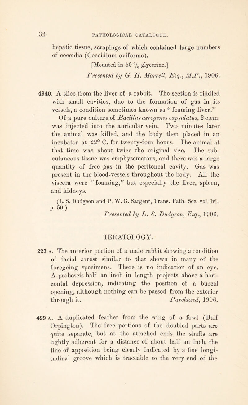 oo hepatic tissue, scrapings of which contained large numbers of coccidia (Coccidium oviforme). [Mounted in 50 °/0 glycerine.] Presented by G. II. Morrell, Esq., M.P., 1906. 4940. A slice from the liver of a rabbit. The section is riddled with small cavities, due to the formation of gas in its vessels, a condition sometimes known as u foaming liver.” Of a pure culture of Bacillus aerogenes capsulatus, 2 c.cin. was injected into the auricular vein. Two minutes later the animal was killed, and the body then placed in an incubator at 22° C. for twenty-four hours. The animal at that time was about twice the original size. The sub¬ cutaneous tissue was emphysematous, and there was a large quantity of free gas in the peritoneal cavity. Gas was present in the blood-vessels throughout the body. All the viscera were “ foaming,” but especially the liver, spleen, and kidneys. (L. S. Dudgeon and P. W. G. Sargent, Trans. Path. Soc. vol. lvi. p. 50.) Presented by L. S. Dudgeon, Esq., 1906. TERATOLOGY. 223 A. The anterior portion of a male rabbit showing a condition of facial arrest similar to that shown in many of the foregoing specimens. There is no indication of an eye. A proboscis half an inch in length projects above a hori¬ zontal depression, indicating the position of a buccal opening, although nothing can be passed from the exterior through it. Purchased, 1906. 499 A. A duplicated feather from the wing of a fowl (Buff Orpington). The free portions of the doubled parts are quite separate, but at the attached ends the shafts are lightly adherent for a distance of about half an inch, the line of apposition being clearly indicated by a fine longi¬ tudinal groove which is traceable to the very end of the