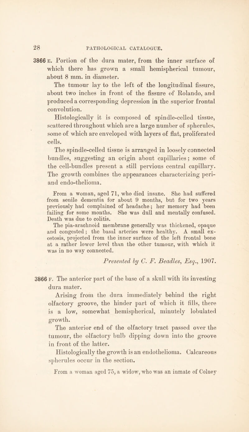 3866 e. Portion of the dura mater, from the inner surface of which there has grown a small hemispherical tumour, about 8 mm. in diameter. The tumour lay to the left of the longitudinal fissure, about two inches in front of the fissure of Rolando, and produced a corresponding depression in the superior frontal convolution. Histologically it is composed of spindle-celled tissue, scattered throughout which are a large number of spherules, some of which are enveloped with layers of flat, proliferated cells. The spindle-celled tissue is arranged in loosely connected bundles, suggesting an origin about capillaries; some of the cell-bundles present a still pervious central capillary. The growth combines the appearances characterizing peri- and endo-thelioma. From a woman, aged 71, who died insane. She had suffered from senile dementia for about 9 months, but for two years previously had complained of headache; her memory had been failing for some months. She was dull and mentally confused. Death was due to colitis. The pia-arachnoid membrane generally was thickened, opaque and congested; the basal arteries were healthy. A small ex¬ ostosis, projected from the inner surface of the left frontal bone at a rather lower level than the other tumour, with which it was in no way connected. Presented by C. F. Beadles, Esq., 1907. 3866 F. The anterior part of the base of a skull with its investing dura mater. Arising from the dura immediately behind the right olfactory groove, the hinder part of which it fills, there is a low, somewhat hemispherical, minutely lobulated growth. The anterior end of the olfactory tract passed over the tumour, the olfactory bulb dipping down into the groove in front of the latter. Histologically the growth is an endothelioma. Calcareous spherules occur in the section. From a woman aged 75, a widow, who was an inmate of Colney