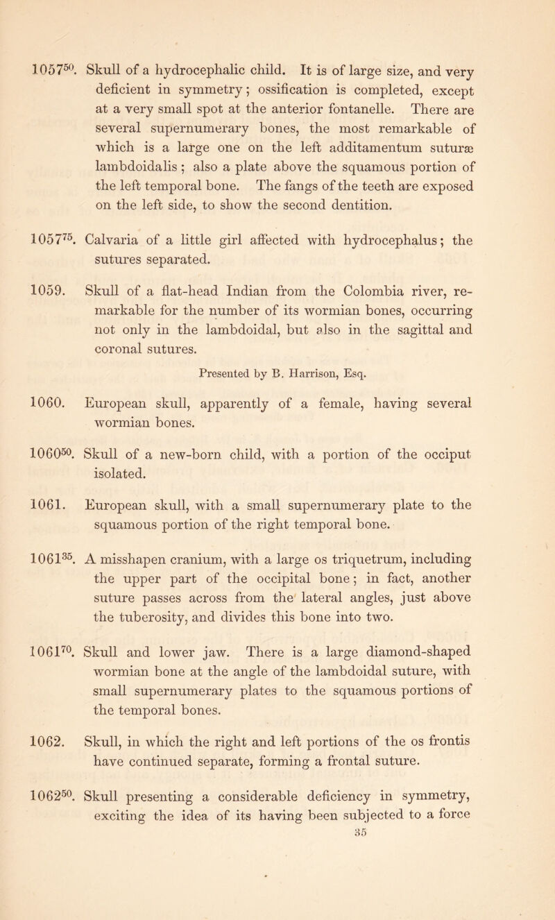 105750. Skull of a hydrocephalic child. It is of large size, and very deficient in symmetry; ossification is completed, except at a very small spot at the anterior fontanelle. There are several supernumerary bones, the most remarkable of which is a large one on the left additamentum suturae lambdoidalis ; also a plate above the squamous portion of the left temporal bone. The fangs of the teeth are exposed on the left side, to show the second dentition. 105775. Calvaria of a little girl affected with hydrocephalus; the sutures separated. 1059. Skull of a flat-head Indian from the Colombia river, re¬ markable for the number of its wormian bones, occurring not only in the lambdoidal, but also in the sagittal and coronal sutures. Presented by B. Harrison, Esq. 1060. European skull, apparently of a female, having several wormian bones. 106050. Skull of a new-born child, with a portion of the occiput isolated. 1061. European skull, with a small supernumerary plate to the squamous portion of the right temporal bone. 106135. A misshapen cranium, with a large os triquetrum, including the upper part of the occipital bone; in fact, another suture passes across from the lateral angles, just above the tuberosity, and divides this bone into two. 106170. Skull and lower jaw. There is a large diamond-shaped wormian bone at the angle of the lambdoidal suture, with small supernumerary plates to the squamous portions of the temporal bones. 1062. Skull, in which the right and left portions of the os frontis have continued separate, forming a frontal suture. 106250. Skull presenting a considerable deficiency in symmetry, exciting the idea of its having been subjected to a force