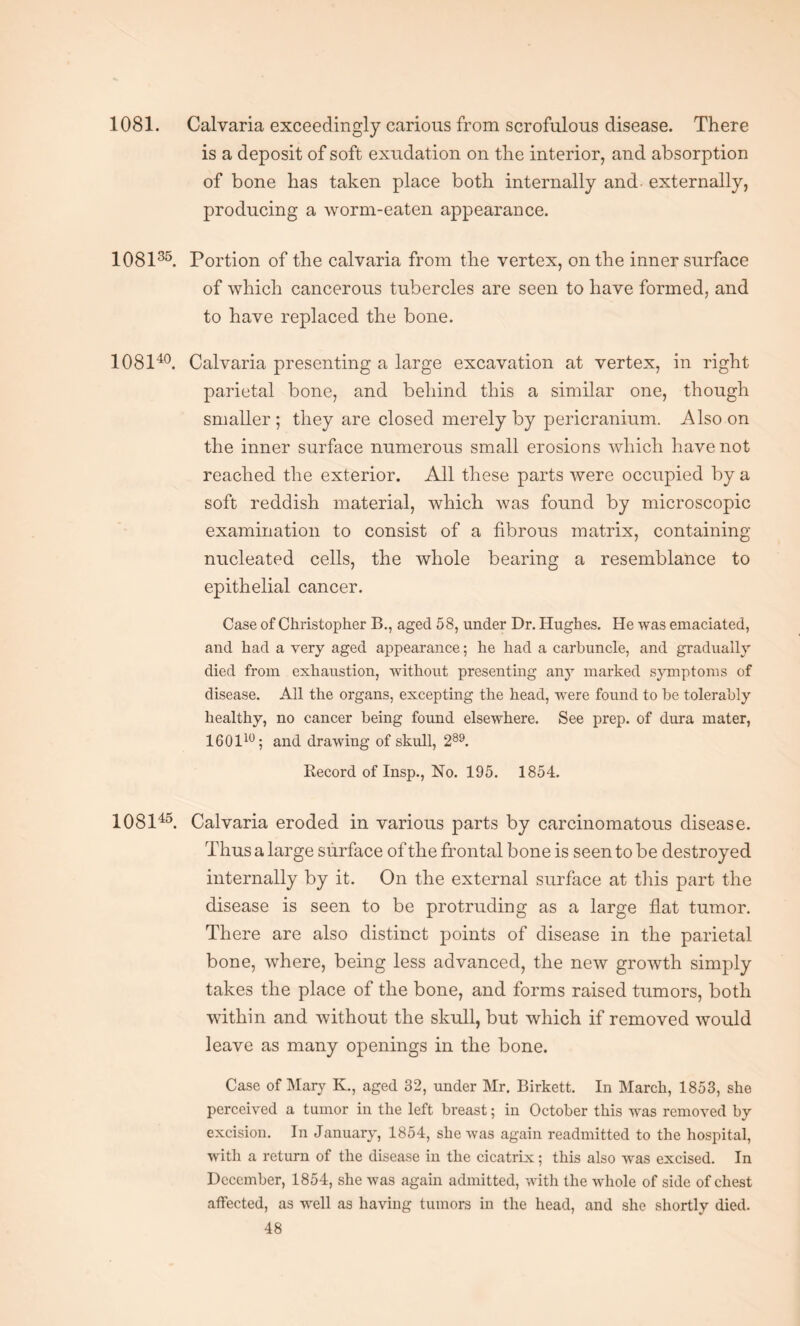 1081. Calvaria exceedingly carious from scrofulous disease. There is a deposit of soft exudation on the interior, and absorption of bone has taken place both internally and externally, producing a worm-eaten appearance. 108135. Portion of the calvaria from the vertex, on the inner surface of which cancerous tubercles are seen to have formed, and to have replaced the bone. 108140. Calvaria presenting a large excavation at vertex, in right parietal bone, and behind this a similar one, though smaller; they are closed merely by pericranium. Also on the inner surface numerous small erosions which have not reached the exterior. All these parts were occupied by a soft reddish material, which was found by microscopic examination to consist of a fibrous matrix, containing nucleated cells, the whole bearing a resemblance to epithelial cancer. Case of Christopher B., aged 58, under Dr. Hughes. He was emaciated, and had a very aged appearance; he had a carbuncle, and gradually died from exhaustion, without presenting any marked symptoms of disease. All the organs, excepting the head, were found to be tolerably healthy, no cancer being found elsewhere. See prep, of dura mater, 160110; and drawing of skull, 289. Record of Insp., No. 195. 1854. 108145. Calvaria eroded in various parts by carcinomatous disease. Thus a large surface of the frontal bone is seen to be destroyed internally by it. On the external surface at this part the disease is seen to be protruding as a large flat tumor. There are also distinct points of disease in the parietal bone, where, being less advanced, the new growth simply takes the place of the bone, and forms raised tumors, both within and without the skull, but which if removed would leave as many openings in the bone. Case of Mary K., aged 32, under Mr. Birkett. In March, 1853, she perceived a tumor in the left breast; in October this was removed by excision. In January, 1854, she was again readmitted to the hospital, with a return of the disease in the cicatrix; this also was excised. In December, 1854, she was again admitted, with the whole of side of chest affected, as well as having tumors in the head, and she shortly died.