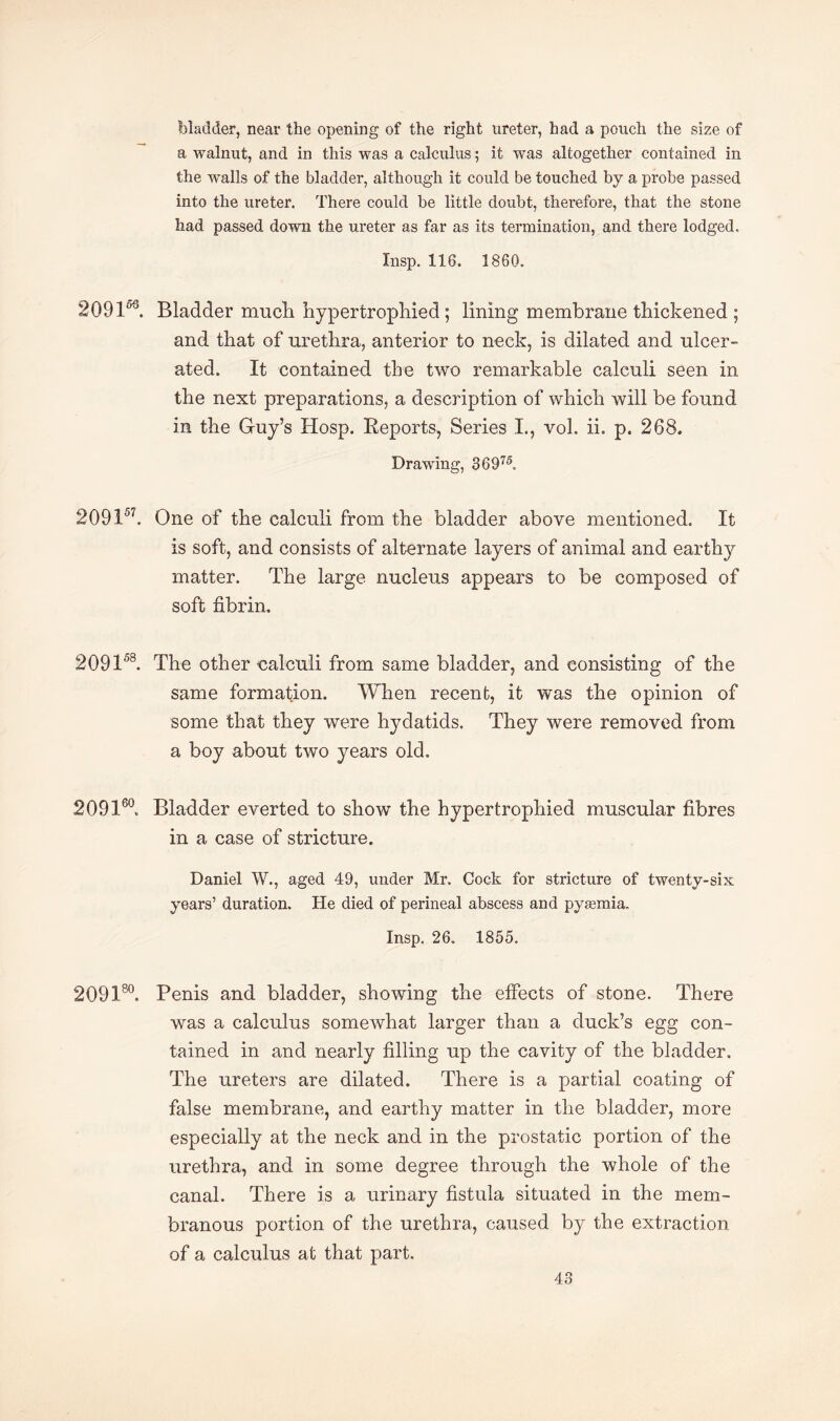 bladder, near the opening of the right ureter, had a pouch the size of a walnut, and in this was a calculus; it was altogether contained in the walls of the bladder, although it could be touched by a probe passed into the ureter. There could be little doubt, therefore, that the stone had passed down the ureter as far as its termination, and there lodged. Xnsp. 116. 1860. 20915<3. Bladder much hypertrophied ; lining membrane thickened ; and that of urethra, anterior to neck, is dilated and ulcer¬ ated. It contained the two remarkable calculi seen in the next preparations, a description of which will be found in the Guy’s Hosp. Reports, Series I., vol. ii. p. 268. Drawing, 36975. 209157. One of the calculi from the bladder above mentioned. It is soft, and consists of alternate layers of animal and eartlry matter. The large nucleus appears to be composed of soft fibrin. 209158. The other calculi from same bladder, and consisting of the same formation. When recent, it vras the opinion of some that they were hydatids. They were removed from a boy about two years old. 209160. Bladder everted to show the hypertrophied muscular fibres in a case of stricture. Daniel W., aged 49, under Mr. Cock for stricture of twenty-six years’ duration. He died of perineal abscess and pyaemia. Insp. 26. 1855. 209180. Penis and bladder, showing the effects of stone. There was a calculus somewhat larger than a duck’s egg con¬ tained in and nearly filling up the cavity of the bladder. The ureters are dilated. There is a partial coating of false membrane, and earthy matter in the bladder, more especially at the neck and in the prostatic portion of the urethra, and in some degree through the whole of the canal. There is a urinary fistula situated in the mem¬ branous portion of the urethra, caused by the extraction of a calculus at that part.