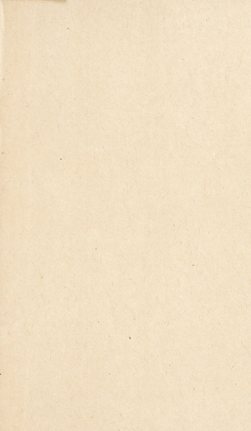 « - v - V f . 7> v, -r v