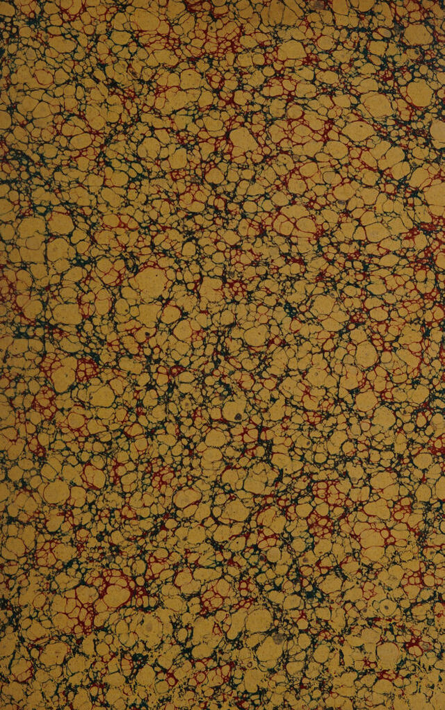 digitised image 3