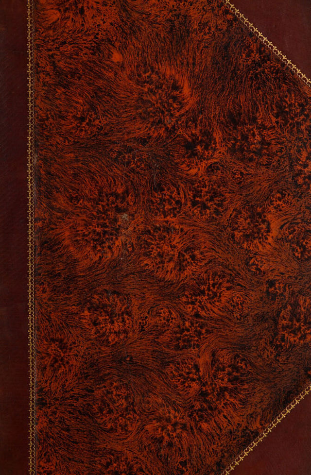 digitised image 1