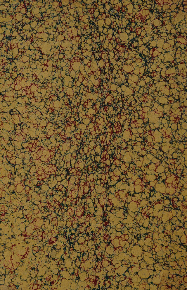digitised image 2