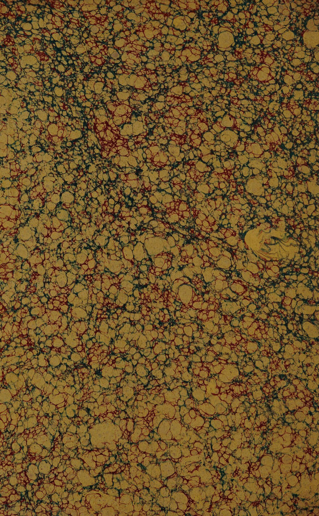 digitised image 2