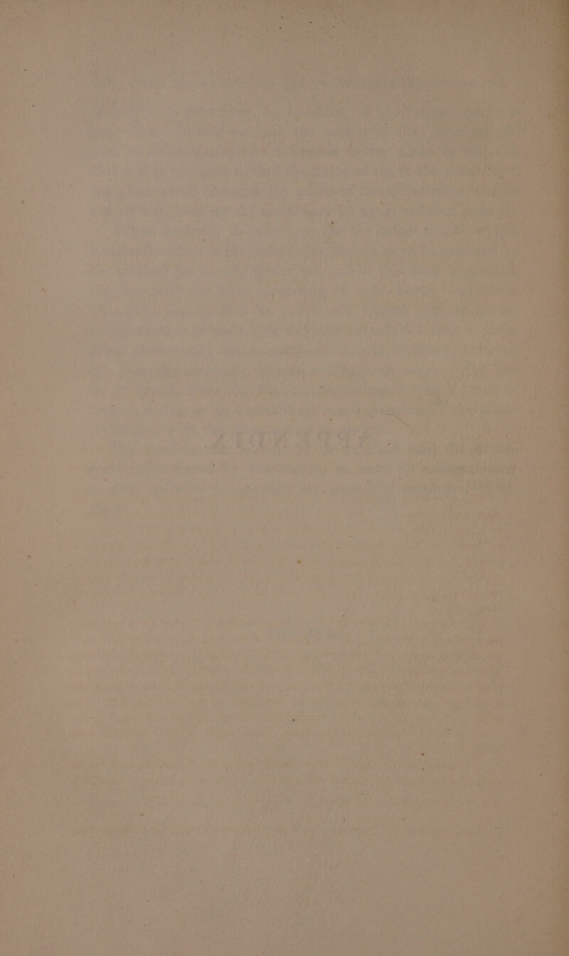 s : ’ e » ey cat 7 4 ¥ é~ ‘ ae SA alee Ae OPS Ra Ont Sa Pete OR Ve: . , \ Ts Yo a, vd hye “Ny rad We