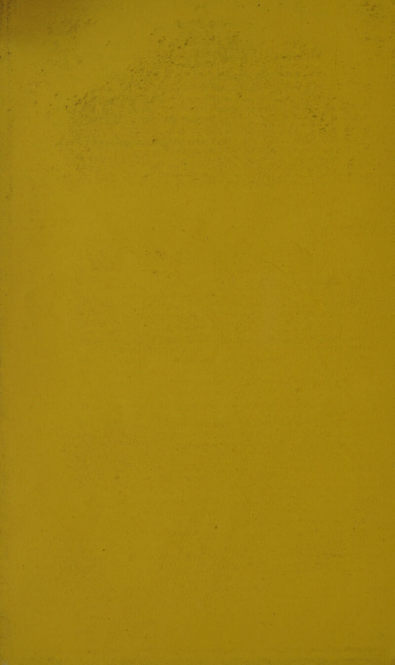hs M4 4 = 3  &amp; >, iw ) ; Es ‘ aw¥ F ; « = ras » 1 *« a] +4 i] ~T 4 1a aoe yon Pe +4 F e a y =a ’ a + o . ry . “ by mies i> in . ‘ a eet | aie el © fn « a . ‘ % ‘ ° ” od oe &amp; Ba, = * »  a? f yr he ‘ i. fae =) = _ A - iv > — '. \ @ * as . fe * ' a7 ™ ~ m —— | * ‘., ‘ - ~~ . vs ~ + cS a « ‘ ef. ya. = a < _ . tol y : mn ba so