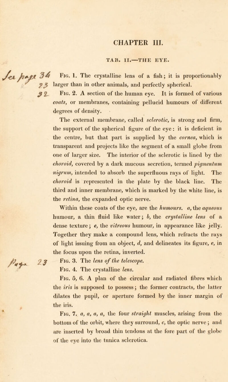 TA13. II.—THE EYE. /V 2 * Fig. 1. The crystalline lens of a fish; it is proportionally larger than in other animals, and perfectly spherical. Fig. 2. A section of the human eye. It is formed of various coats, or membranes, containing pellucid humours of different degrees of density. The external membrane, called sclerotic, is strong and firm, the support of the spherical figure of the eye : it is deficient in the centre, but that part is supplied by the cornea, which is transparent and projects like the segment of a small globe from one of larger size. The interior of the sclerotic is lined by the choroid, covered by a dark mucous secretion, termed pigmentum nigrum, intended to absorb the superfluous rays of light. The choroid is represented in the plate by the black line. The third and inner membrane, which is marked by the white line, is the retina, the expanded optic nerve. Within these coats of the eye, are the humours, a, the aqueous humour, a thin fluid like water; h, the crystalline lens of a dense texture; c, the vitreous humour, in appearance like jelly. Together they make a compound lens, which refracts the rays of light issuing from an object, d, and delineates its figure, c, in the focus upon the retina, inverted. Fig. 3. The lens of the telescope. Fig. 4. The crystalline lens. Fig. 5, 6. A plan of the circular and radiated fibres which the iris is supposed to possess; the former contracts, the latter dilates the pupil, or aperture formed by the inner margin of the iris. Fig. 7. a, a, a, a, the lour straight muscles, arising from the bottom of the orbit, where they surround, c, the optic nerve; and are inserted by broad thin tendons at the lore part of the globe of the eye into the tunica sclerotica.