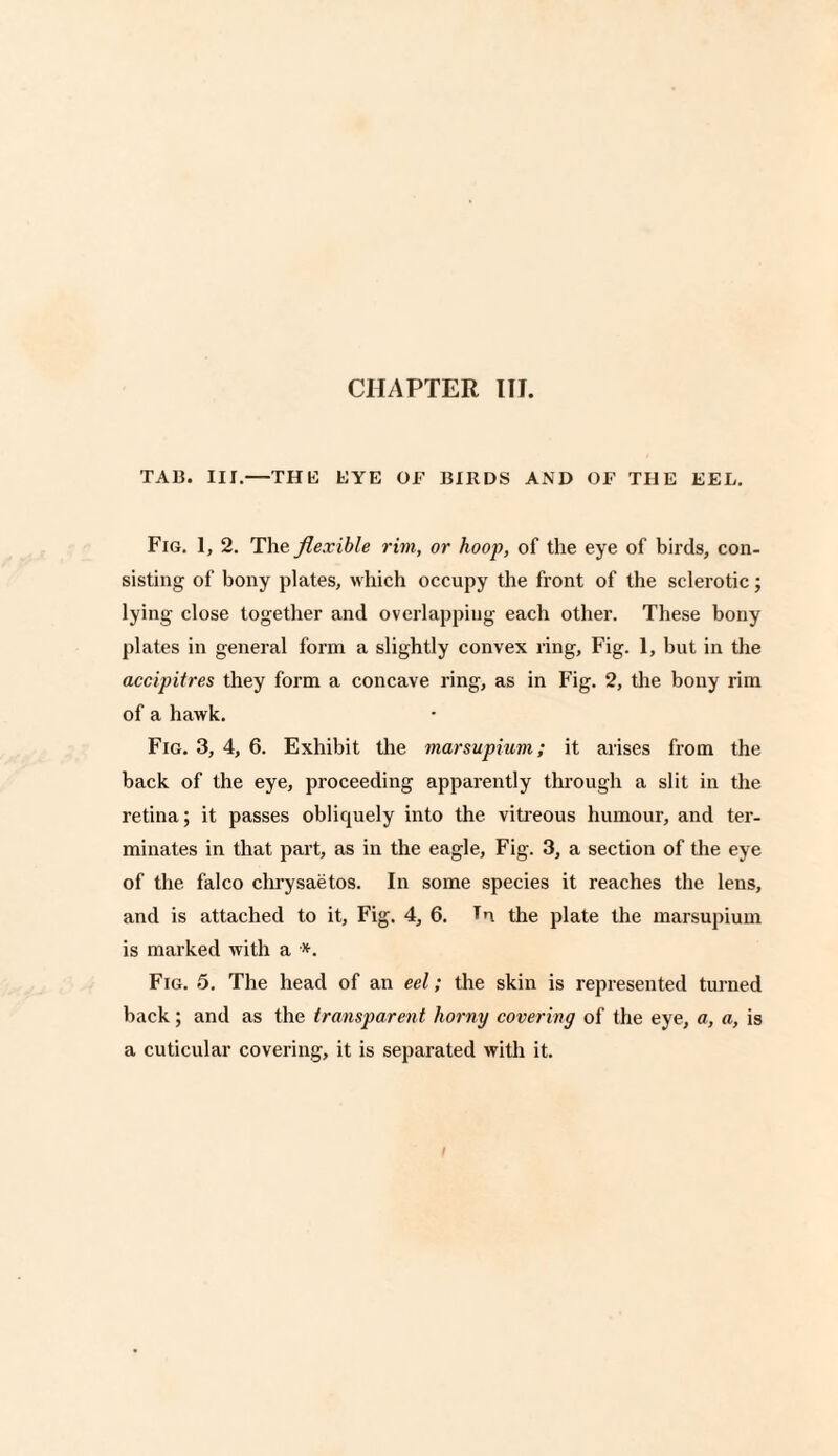 TAB. III.—THE BYE OF BIRDS AND OF THE EEL. Fig. 1, 2. The flexible rim, or hoop, of the eye of birds, con¬ sisting of bony plates, which occupy the front of the sclerotic; lying close together and overlapping each other. These bony plates in general form a slightly convex ring. Fig. 1, but in the accipitres they form a concave ring, as in Fig. 2, the bony rim of a hawk. Fig. 3, 4, 6. Exhibit the marsupium; it arises from the back of the eye, proceeding apparently through a slit in the retina; it passes obliquely into the vitreous humour, and ter¬ minates in that part, as in the eagle. Fig. 3, a section of the eye of the falco chrysaetos. In some species it reaches the lens, and is attached to it, Fig. 4, 6. Tn the plate the marsupium is marked with a *. Fig. 5. The head of an eel; the skin is represented turned back; and as the transparent horny covering of the eye, a, a, is a cuticular covering, it is separated with it. I