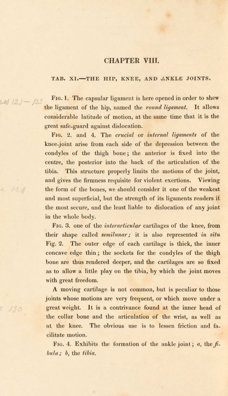 TAB. XI.—THE HIP, KNEE, AND ANKLE JOINTS. Fig. 1. The capsular ligament is here opened in order to shew the ligament of the hip, named the round ligament. It allows considerable latitude of motion, at the same time that it is the great safe-guard against dislocation. Fig. 2. and 4. The crucial or internal ligaments of the knee-joint arise from each side of the depression between the condyles of the thigh bone; the anterior is fixed into the centre, the posterior into the back of the articulation of the tibia. This structure properly limits the motions of the joint, and gives the firmness requisite for violent exertions. Viewing the form of the bones, we should consider it one of the weakest and most superficial, but the strength of its ligaments renders it the most secure, and the least liable to dislocation of any joint in the whole body. Fig. 3. one of the inter articular cartilages of the knee, from their shape called semilunar; it is also represented in situ Fig. 2. The outer edge of each cartilage is thick, the inner concave edge thin; the sockets for the condyles of the thigh bone are thus rendered deeper, and the cartilages are so fixed as to allow a little play on the tibia, by which the joint moves with great freedom. A moving cartilage is not common, but is peculiar to those joints whose motions are very frequent, or which move under a great weight. It is a contrivance found at the inner head of the collar bone and the articulation of the wrist, as well as at the knee. The obvious use is to lessen friction and fa¬ cilitate motion. Fig. 4. Exhibits the formation of the ankle joint; a, the ji- bula; b, the tibia.