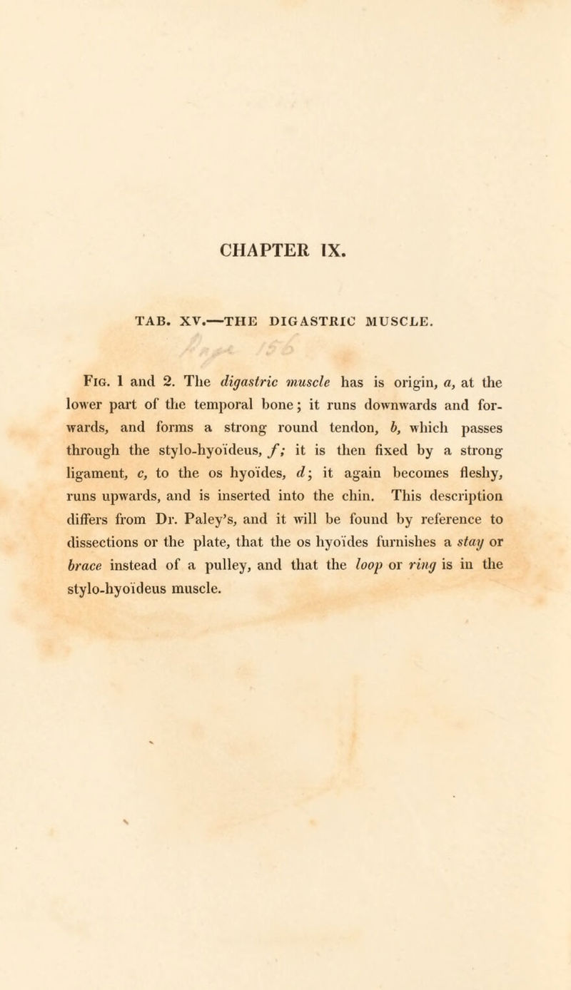 TAB. XV.—THE DIGASTRIC MUSCLE. Fig. I and 2. The digastric muscle has is origin, a, at the lower part of the temporal bone; it runs downwards and for¬ wards, and forms a strong round tendon, b, which passes through the stylo-hyoideus, f ; it is then fixed by a strong ligament, c, to the os hyoides, d; it again becomes fleshy, runs upwards, and is inserted into the chin. This description differs from Dr. Paley’s, and it will be found by reference to dissections or the plate, that the os hyoides furnishes a stay or brace instead of a pulley, and that the loop or ring is in the stylo-hyoideus muscle.