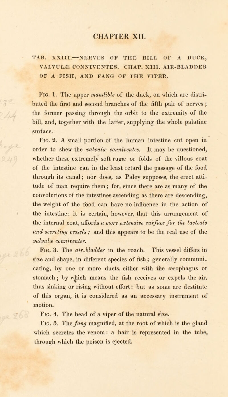 TAB. XXIII.—NERVES OF THE BILL OF A DUCK, VALVUL/E CONNIVENTES. CHAP. XIII. AIR-BLADDER OF A FISH, AND FANG OF THE VIPER. Fig. 1. The upper mandible of the duck, on which are distri¬ buted the first and second branches of the fifth pair of nerves; the former passing through the orbit to the extremity of the bill, and, together with the latter, supplying the whole palatine surface. Fig. 2. A small portion of the human intestine cut open in order to shew the valvulce conniventes. It may be questioned, whether these extremely soft rugie or folds of the villous coat of the intestine can in the least retard the passage of the food through its canal; nor does, as Paley supposes, the erect atti¬ tude of man require them; for, since there are as many of the convolutions of the intestines ascending as there are descending, the weight of the food can have no influence in the action of the intestine: it is certain, however, that this arrangement of the internal coat, affords a more extensive surface for the lacteals and secreting vessels ; and this appears to be the real use of the valvulce conniventes. Fig. 3. The air-bladder in the roach. This vessel differs in size and shape, in different species of fish; generally communi¬ cating, by one or more ducts, either with the oesophagus or stomach; by which means the fish receives or expels the air, thus sinking or rising without effort: but as some are destitute of this organ, it is considered as an accessary instrument of motion. Fig. 4. The head of a viper of the natural size. Fig. 5. The fang magnified, at the root of which is the gland which secretes the venom: a hair is represented in the tube, through which the poison is ejected.