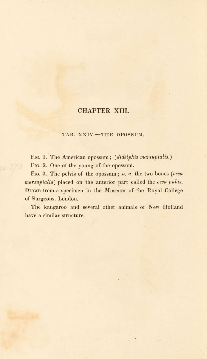 TAB. XXIV.— THE OPOSSUM. Fig. 1. The American opossum; (didelphis marsupialis.) Fig. 2. One of the young of the opossum. Fig. 3. The pelvis of the opossum; a, a, the two hones (ossa marsupialia) placed on the anterior part called the ossa pubis. Drawn from a specimen in the Museum of the Royal College of Surgeons, London. The kangaroo and several other animals of New Holland have a similar structure.