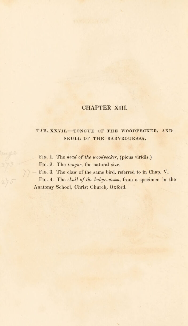 TAB. XXVII.—TONGUE OF THE WOODPECKER, AND SKULL OF THE BABYROUESSA. Fig. 1. The head of the woodpecker, (picus viridis.) Fig. 2. The tongue, the natural size. Fig. 3. The claw of the same bird, referred to in Chap. V. Fig. 4. The skull of the babyrouessa, from a specimen in the Anatomy School, Christ Church, Oxford.