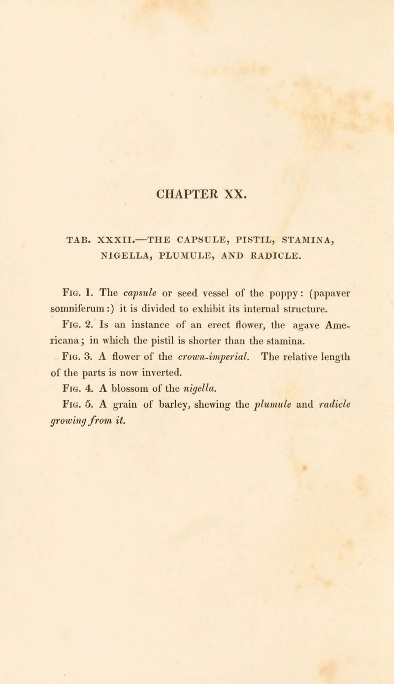 TAB. XXXII.—THE CAPSULE, PISTIL, STAMINA, N1GELLA, PLUMULE, AND RADICLE. Fig. 1. The capsule or seed vessel of the poppy: (papaver somniferum:) it is divided to exhibit its internal structure. Fig. 2. Is an instance of an erect flower, the agave Ame¬ ricana ; in which the pistil is shorter than the stamina. Fig. 3. A flower of the crown-imperial. The relative length of the parts is now inverted. Fig. 4. A blossom of the nigella. Fig. 5. A grain of barley, shewing the plumule and radicle growing from it.