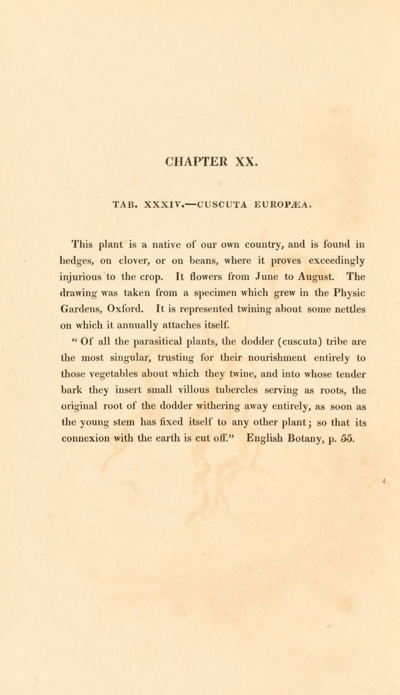 TAB. XXXIV.—CUSCUTA EUROPE A. This plant is a native of our own country, and is found in hedges, on clover, or on beans, where it proves exceedingly injurious to the crop. It flowers from June to August. The drawing was taken from a specimen which grew in the Physic Gardens, Oxford. It is represented twining about some nettles on which it annually attaches itself. “ Of all the parasitical plants, the dodder (cuscuta) tribe are the most singular, trusting for their nourishment entirely to those vegetables about which they twine, and into whose tender bark they insert small villous tubercles serving as roots, the original root of the dodder withering away entirely, as soon as the young stem has fixed itself to any other plant; so that its connexion with the earth is cut off.” English Botany, p. 55.