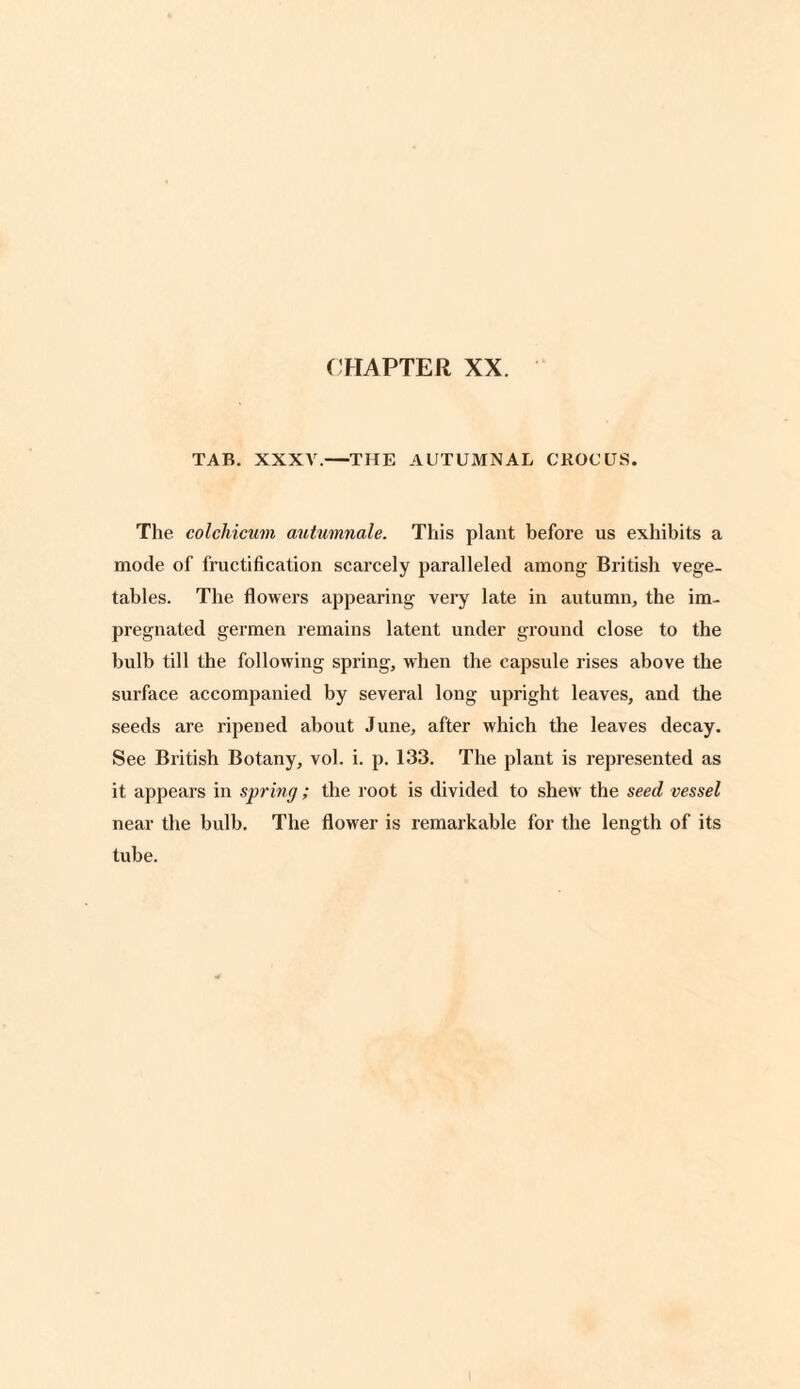 TAB. XXXV.—THE AUTUMNAL CROCUS. The colchicum autumnale. This plant before us exhibits a mode of fructification scarcely paralleled among British vege¬ tables. The flowers appearing very late in autumn, the im¬ pregnated germen remains latent under ground close to the bulb till the following spring, when the capsule rises above the surface accompanied by several long upright leaves, and the seeds are ripened about June, after which the leaves decay. See British Botany, vol. i. p. 133. The plant is represented as it appears in spring; the root is divided to shew the seed vessel near the bulb. The flower is remarkable for the length of its tube.