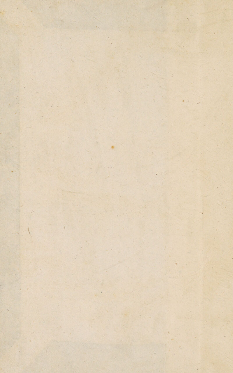 *V' ' • • \ /• \ / * C 0 \ t i. f\ \ \ V t f J \ / /■ \ ' / - ( i / K