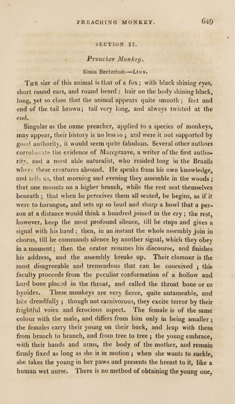 ' SECTION II. Preacher Monkey, Simia Beelzebub.—Linn, The size of this animal is thar of a fox; with black shining eyes, short round ears, and round beard ; hair on the body shining black, long, yet so close that the animal appears quite .smooth ; feet and end of the tail brown; tail very long, and always twisted at the end. Singular as the name preacher, applied to a species of monkeys, may appear, their history is no less so j and were it not supported by good authority, it would seem quite fabulous. Several other authors corroborate the evidence of Marcgraave, a writer of the first autho¬ rity, and a most able naturalist, who resided long in the Brazils where these creatures abound. He speaks from his own knowledge, and tells us, that morning and evening they assemble in the woods; that one mounts on a higher branch, while the rest seat themselves beneath ; that when he perceives them all seated, he begins, as if it were to harangue^ and sets up so loud and sharp a howl that a per¬ son at a distance would think a hundred joined in the cry ; the rest, however, keep the most profound silence, till he stops and gives a signal with his hand ; then, in an instant the whole assembly join in chorus, till he commands silence by another signal, which they obey in a moment; then the orator resumes his discourse, and finishes his address, and the assembly breaks up. Their clamour is the most disagreeable and tremendous that can be conceived j this faculty proceeds from the peculiar conformation of a hollow and hard bone placed in the throat, and called the throat bone or os hyoides. These monkeys are very fierce, quite untaraeable, and bite dreadfully ; though not carnivorous, they excite terror by their frightful voice and ferocious aspect. The female is of the same colour with the male, and differs from him only in being smaller; the females carry their young on their back, and leap with them from branch to branch, and from tree to tree ; the young embrace, with their hands and arms, the body of the mother, and remain firmly fixed as long as she is in motion j when she wants to sucklcg she takes the young in her paws and presents the breast to it, like a human wet nurse. There is no method of obtaining the young one,'