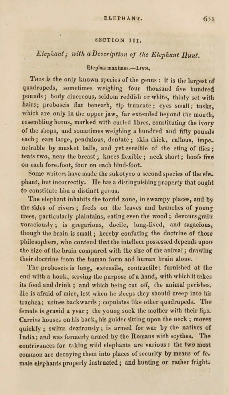 SECTION III. Elephant y with a Description of the Elephant Hunt. Elephas maximus.—Linn. This is the only known species of the genus : it is the largest of quadrupeds, sometimes weighing four thousand five hundred pounds; body cinereous, seldom reddish or white, thinly set with hairs; proboscis flat beneath, tip truncate; eyes small; tusks, which are only in the upper jaw, far extended beyond the mouth, resembling horns, marked with curled fibres, constituting the ivory of the shops, and sometimes weighing a hundred and fifty pounds each; ears large, pendulous, dentate; skin thick, callous, impe¬ netrable by musket balls, and yet sensible of the sting of flies ; teats two, near the breast; knees flexible ; neck short; hoofs five on each fore-foot, four on each hind-foot. Some writers have made the sukotyro a second species of the ele¬ phant, but incorrectly. He has a distinguishing property that ought to constitute him a distinct genus. The elephant inhabits the torrid zone, in swampy places, and by the sides of rivers; feeds on the leaves and branches of young trees, particularly plaintains, eating even the wood; devours grain voraciously ; is gregarious, docile, long-lived, and sagacious, though the brain is small; hereby confuting the doctrine of those philosophers^ who contend that the intellect possessed depends upon the size of the brain compared with the size of the animal; drawing their doctrine from the human form and human brain alone. The proboscis is long, extensile, contractile; furnished at the end with a hook, serving the purpose of a hand, with which it takes its food and drink ; and which being cut off, the animal perishes. He is afraid of mice, lest when he sleeps they should creep into his trachea; urines backwards ; copulates like other quadrupeds. The female is gravid a year ; the young suck the mother with their lips. Carries houses on his back, his guider sitting upon the neck ; moves quickly ; swims dextrously; is armed for war by the natives of India; and was formerly armed by the Romans with scythes. The contrivances for taking wild elephants are various : the two most common are decoying them into places of security by means of fe¬ male elephants properly instructed; and hunting or rather fright.,