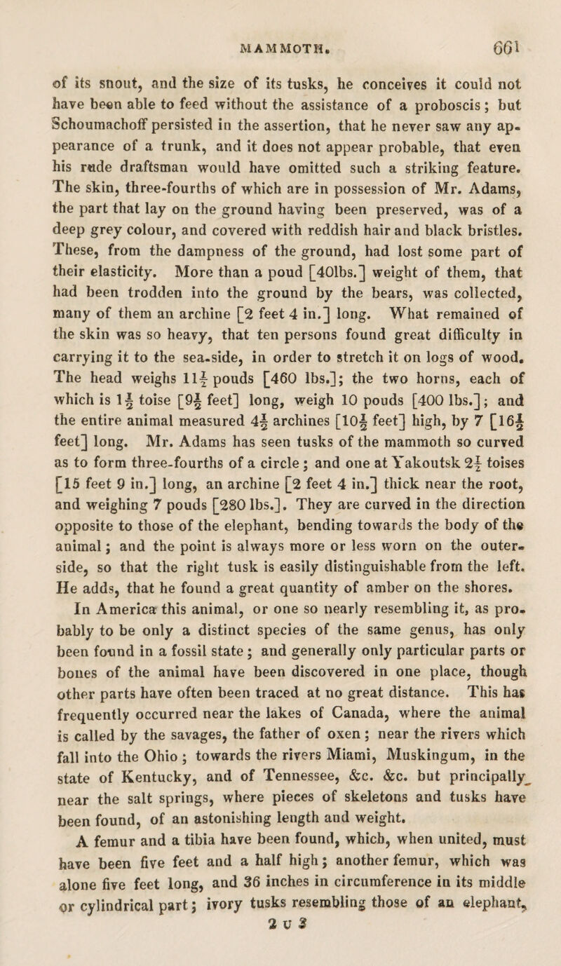 of its snout, and the size of its tusks, he conceives it could not have been able to feed without the assistance of a proboscis; but Schoumachotf persisted in the assertion, that he never saw any ap¬ pearance of a trunk, and it does not appear probable, that even his rude draftsman would have omitted such a striking feature. The skin, three-fourths of which are in possession of Mr. Adams, the part that lay on the ground having been preserved, was of a deep grey colour, and covered with reddish hair and black bristles. These, from the dampness of the ground, had lost some part of their elasticity. More than a poud [401bs.] weight of them, that had been trodden into the ground by the bears, was collected, many of them an archine [2 feet 4 in.] long. What remained of the skin was so heavy, that ten persons found great difficulty in carrying it to the sea-side, in order to stretch it on logs of wood. The head weighs Ilf pouds [460 lbs.]; the two horns, each of which is 1J toise [9i feet] long, weigh 10 pouds [400 lbs.]; and the entire animal measured 4f archines [lOf feet] high, by 7 [16j feet] long. Mr. Adams has seen tusks of the mammoth so curved as to form three-fourths of a circle; and one at Yakoutsk 2f toises [15 feet 9 in.] long, an archine [2 feet 4 in,] thick near the root, and weighing 7 pouds [280 lbs.]. They are curved in the direction opposite to those of the elephant, bending towards the body of the animal; and the point is always more or less worn on the outer- side, so that the right tusk is easily distinguishable from the left. He adds, that he found a great quantity of amber on the shores. In America this animal, or one so nearly resembling it, as pro¬ bably to be only a distinct species of the same genus, has only been found in a fossil state; and generally only particular parts or bones of the animal have been discovered in one place, though other parts have often been traced at no great distance. This has frequently occurred near the lakes of Canada, where the animal is called by the savages, the father of oxen; near the rivers which fall into the Ohio ; towards the rivers Miami, Muskingum, in the state of Kentucky, and of Tennessee, &c. &c. but principally^ near the salt springs, where pieces of skeletons and tusks have been found, of an astonishing length and weight. A femur and a tibia have been found, which, when united, must have been five feet and a half high; another femur, which wag alone five feet long, and 36 inches in circumference in its middle or cylindrical part; ivory tusks resembling those of an elephant,,