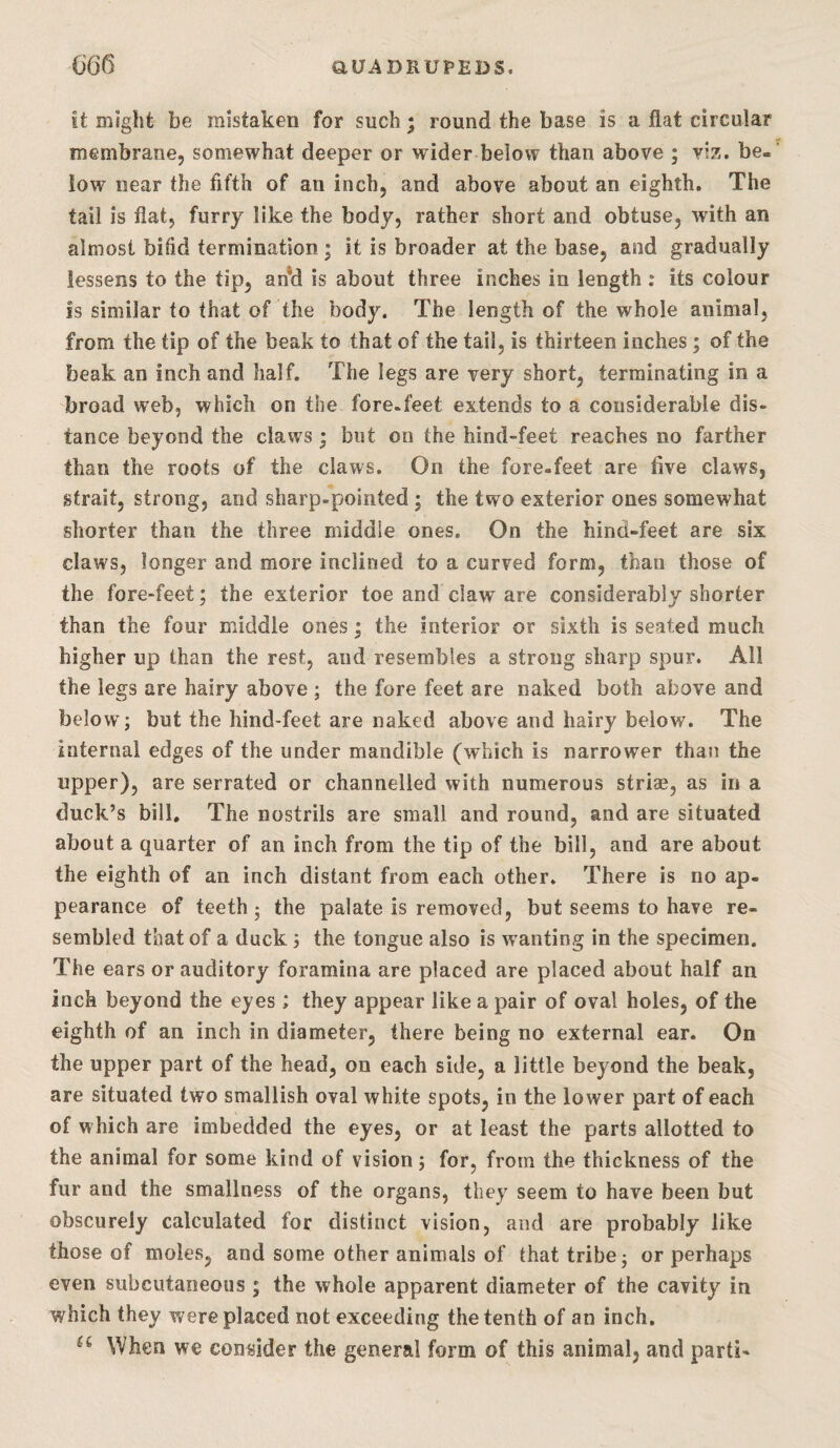 it might be mistaken for such; round the base is a flat circular membrane, somewhat deeper or wider below than above ; viz. be¬ low near the fifth of an inch, and above about an eighth. The tail is flat, furry like the body, rather short and obtuse, with an almost bifid termination ; it is broader at the base, and gradually lessens to the tip, an*d is about three inches in length : its colour Is similar to that of the body. The length of the whole animal, from the tip of the beak to that of the tail, is thirteen inches; of the beak an inch and half. The legs are very short, terminating in a broad web, which on the fore.feet extends to a considerable dis¬ tance beyond the claws; but on the hind-feet reaches no farther than the roots of the claws. On the fore.feet are five claws, strait, strong, and sharp-pointed ; the two exterior ones somewhat shorter than the three middle ones. On the hind-feet are six claws, longer and more inclined to a curved form, than those of the fore-feet; the exterior toe and claw are considerably shorter than the four middle ones; the interior or sixth is seated much higher up than the rest, and resembles a strong sharp spur. All the legs are hairy above ; the fore feet are naked both above and below; but the hind-feet are naked above and hairy below. The internal edges of the under mandible (which is narrower than the upper), are serrated or channelled with numerous striae, as in a duck’s bill. The nostrils are small and round, and are situated about a quarter of an inch from the tip of the bill, and are about the eighth of an inch distant from each other. There is no ap¬ pearance of teeth 3 the palate is removed, but seems to have re¬ sembled that of a duck; the tongue also is wanting in the specimen. The ears or auditory foramina are placed are placed about half an inch beyond the eyes; they appear like a pair of oval holes, of the eighth of an inch in diameter, there being no external ear. On the upper part of the head, on each side, a little beyond the beak, are situated two smallish oval white spots, in the lower part of each of which are imbedded the eyes, or at least the parts allotted to the animal for some kind of vision; for, from the thickness of the fur and the smallness of the organs, they seem to have been but obscurely calculated for distinct vision, and are probably like those of moles, and some other animals of that tribe; or perhaps even subcutaneous ; the whole apparent diameter of the cavity in which they were placed not exceeding the tenth of an inch. When we consider the general form of this animal, and parti-
