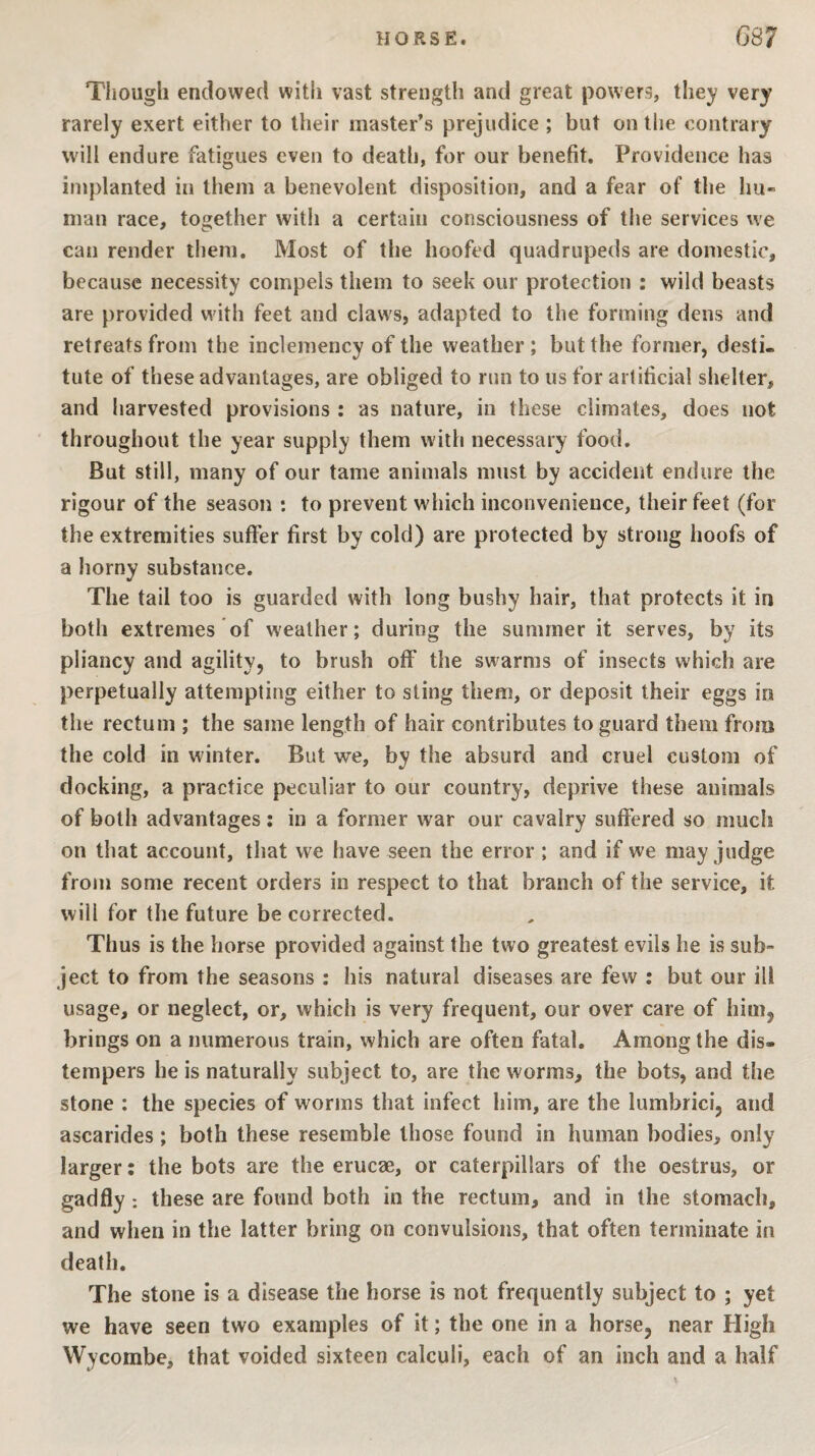 Tiiough endowed with vast strength and great powers, they very rarely exert either to their master’s prejudice ; but on the contrary will endure fatigues even to death, for our benefit. Providence has implanted in them a benevolent disposition, and a fear of the hu¬ man race, together with a certain consciousness of the services we can render them. Most of the hoofed quadrupeds are domestic, because necessity compels them to seek our protection : wild beasts are provided with feet and claws, adapted to the forming dens and retreats from the inclemency of the weather; but the former, desti¬ tute of these advantages, are obliged to run to us for artificial shelter, and harvested provisions : as nature, in these climates, does not throughout the year supply them with necessary food. But still, many of our tame animals must by accident endure the rigour of the season : to prevent which inconvenience, their feet (for the extremities suffer first by cold) are protected by strong hoofs of a horny substance. The tail too is guarded with long bushy hair, that protects it in both extremes of weather; during the summer it serves, by its pliancy and agility, to brush off the swarms of insects which are perpetually attempting either to sting them, or deposit their eggs in the rectum ; the same length of hair contributes to guard them from the cold in winter. But we, by the absurd and cruel custom of docking, a practice peculiar to our country, deprive these animals of both advantages; in a former war our cavalry suffered so much on that account, that we have seen the error ; and if we may judge from some recent orders in respect to that branch of the service, it will for the future be corrected. Thus is the horse provided against the two greatest evils he is sub¬ ject to from the seasons : his natural diseases are few : but our ill usage, or neglect, or, which is very frequent, our over care of him, brings on a numerous train, which are often fatal. Among the dis¬ tempers he is naturally subject to, are the worms, the bots, and the stone : the species of worms that infect him, are the lumbrici, and ascarides; both these resemble those found in human bodies, only larger: the bots are the erucae, or caterpillars of the oestrus, or gadfly: these are found both in the rectum, and in the stomach, and when in the latter bring on convulsions, that often terminate in death. The stone is a disease the horse is not frequently subject to ; yet we have seen two examples of it; the one in a horse, near High Wycombe, that voided sixteen calculi, each of an inch and a half