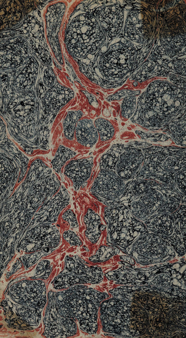 No text description is available for this image