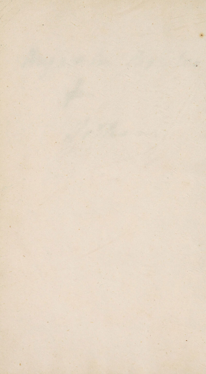 ^ \ !dLv& i. - . ^ ' \ V ♦ — M- ., .4 .. •k « TV ■ .'^• * I ► \- *‘\t