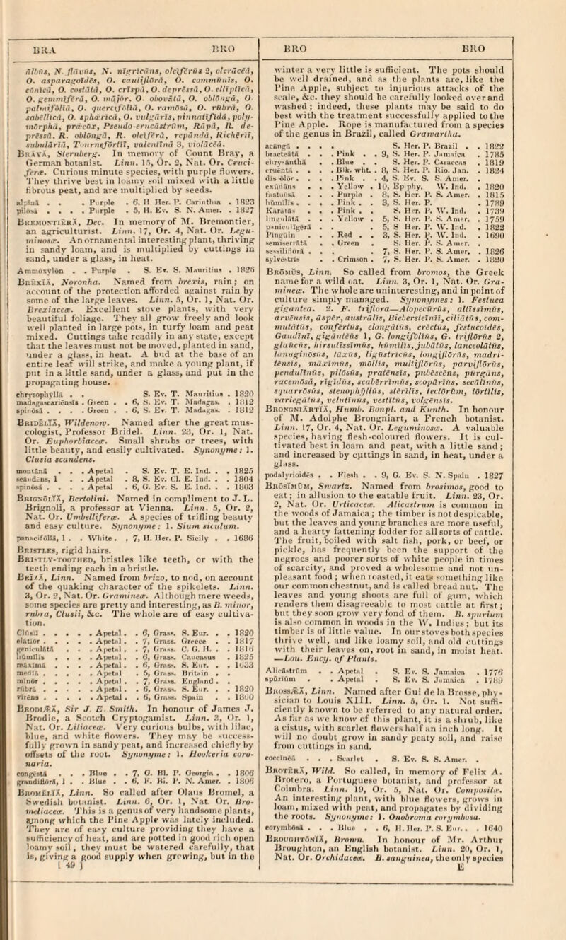 BHA I BIU) BBO BUO iTlhiis, N. fliivOs, y. nt^rJernis, olelffrus 2, vleracfi}, O. nspara^’olilfs, O. caulijlfirii, O. com7nFiiiis, O. ci^nicil, O. costilhi, O. erispti, 0. dfprftsa^ 0- elllpiJci'i, O. ffenimlffrii, O. tniljfir. O- ohoi-Htu, O, oblOiif^u, <) patmifi^lUl, 0. (jtiercxj'olhl, O. ravifistl, O. rfthrd, O sahfllicil, O. sithirrlcii, O. vul;:ilri3, pinniiHfldn, poll/- tnfirphu, pr/z'cflx, Pseitdo-frucastrOin, Ritpi'if IL de- prfasil, R. R. olclffrii, rcpundh, RichSriJ, tuhiililriii, Txiirn^irtlTy iialeiitlnd 3, violucfu, Braya, Sternber/i. In memovv of Count Bray» a Berman botanist. Linn. I 'l, Or. 2, Nat. Or. Cruci- fertp. Curious minute species, with purple flowers, 'i'hey thrive best in loamy soil mixed with a little flbrous peat, and are uuiltiplied by seeds, al'tul . , . Purple . 6. M Her. P. Ciiriiitlna . 7R23 piluM .... Purple • 5, 11. Ev. S. N'. Anies. . 1327 BrbmontiebX, Dec. In memory of M. Brcinontier, an a^n’iculturist. Linn. 17, Or. 4, Nat. Or. Le/>u- yniuostr. An ornamental interest inj? plant, thriving in sandy loam, and is multiplied by cuttings in sand, under a glass, in heat. AmmOxvlOn . . Purple . S. Et. S. MAurillus . lP2fi BnuxiA, yoronha. Named from hrexisy rain; on account of the protection aflforded asiainst rain by some of the large leaves. Linn, .“i, Or. 1, Nat. Or. Urexiacca. Excellent stove plants, with very beautiful foliage. They all grow freely and look well planted in large pots, in turfy loam and peat mixed. Cuttings take readily in any state, except that the leaves must not be moved, planted in sand, under a glass, in heat. A bud at the base of an entire leaf will strike, and make a young plant, if put in a little .sand, under a glass, and put in the propagating house. chn,-6opljjIlil . . S. Rv. T. MAuritius . 1820 mAdn)^kCAri<:o>f* . Greco . . S. Kv. T. MariBgaH. . 1>!12 ipinO&J .... Green . . 6, b. £t. T. Madnga». . 1812 Bridei.Ta, TVildenorv. Named after the great mus¬ eologist, Professor Bridel. Linn. 23, Or. 1, Nat. Or. Eup/torbiacete. Small shrubs or trees, with little beauty, and easily cultivated. Sijnoni/me: 1. Clusia ecandena. moui&nil . . . Apeta] . S. Ev. T. E. Ind. . • 182.‘> ncSi'dcDs, 1 . . Apeu) . 8, S. Kv. Ci. E. Iii<l. . . 1804 <pinO&^ .... Apetal . 8, G. Ev. S. E. lad. . . 1803 BbigxOi.Ta, Derlolini, Named in compliment to J. L. Brignoli, a professor at Vienna. Linn. 5, Or. 2, Nat. Or. Umbellifera. A species of trifling beauty and easy culture. Sj/nonynie: 1. Slum aiciilum. panacifClU, 1 . . White. . 7, H. Her. P. Sicily • . 1G88 BnisTi.ES, rigid hairs. Bbi-ti.v-toothed, bristles like teeth, or with the teeth ending each in a bristle. Br?/a, Linn. Named from brizo, to nod, on account of the quaking character of the sptkclets. Linn. 3, Or. 2, Nat. Or. Gramineo’. Although mere weeds, some species are pretty and interesting, a.s li. minor, rubra, Ctuaii, &c. The whole are of easy cultiva¬ tion. . . • • . Apctiil. . 8, Gras*. R. Eur. • • 1820 cl&tlOr.Apctnl. . 7» Grass. Grvece . . 1817 vcnicul&td • • . Apetal . . 7, Grabs. C. G. H. . . 1810 liOmriis .... Apetal. . (S, Gias. t.'aucasus . 1825 mSsiuA .... Aprtal . . 8, Gma*. R. Kur. . . l'^3 mt'dlft ..... Aprtal . 5, Griiab. Kriuin . . mlnAr ..... Apotal . . 7, Graba. England . . rfit>r&.Apetal. . 8, GrAS'. S. Eur. . . 1820 Virens.ApeUJ . . O', Grubi. Rpaiu . . IBoO BrodiAa, Sir J. E Smith. In honour of James J. Brodie, a Scotch Cryptogainist. Linn. 3, dr. 1, Nat. Or. Liliacea:. Very curious bulbs, with lilac, blue, and while flowers. They may be aiiccess- fully grown in sandy peat, and increased chiefly by offsets of the root. Sxjnont/me: 1. Uookeria coro- naria. congi'stA ■ . . nine . . 7> G. Ml. P. GeoripA . . 180G f^ndiAorA, 1 . . Blue . . (i, F. Hi. I’. N. Anicr. . 1808 BromEi.Ta, Linn. So called after Olaiis Bromel, a Swedish botanist. Linn. 6, Or. I, Nat- Or. Ilro- meliaceie. 'Phis is a genus of very liandsoine plants, aunong which the Pine Apple was lately included, 'riiey are of ea«y culture providing they have a siithcieney of heal, and are polled in good ricli open loamy soil, they must be watered carefully, that is, giving a good supply when grt'wing, but in the I 49 J w inter a very little is suflicient. The pots should be well drained, and as the plants are, like the I’ine Apple, subject to injurious attacks of the scale, &c. they should he carefully looked over and washed ; indeed, tliese plants may be said to do best with the treatment successfully applied to the Pine Apple. Rope is manufactured from a species of the genus in Brazil, called Grarvarlha. ncuutpt • . • . S. Her. P. Brazil . . 1802 bi.icte&tii • • . Pink . . 9, S. Her. P. J-muiica . 1785 i-lirv-'AiithA . . Blue . . S. Her. P. C'Aiucens . 1019 enienUi . . . . Bile. whU . 8, S. Hpr. P. Uio. Jan. . 1824 dis OlOr. . . . Pink . . 4, S. Ev. S. R. Amer. exi'i'lrm'i . * . Yellow . 19, Epiphy. W. Inil. . 1020 fHstii'itta . . . Purple . 8, R. Her. P. S. Amer. . 1815 humllls. . . . Pink . . 3, S. Her. P. . 1709 KAr.'iiA* . . . Pink . . S. H-r. P. W. Iml. . 1739 ImvilAU . . . Vellow . 5| R. Her. 1’. S. Amrr. . 1759 pHtiieiiUgerA . . 5, S Her. P. \Y. Iiid. . 1822 inn^fiin . . . Red . . 3, S. Her. P. ^V. Ind. . 1890 •lemiseriAtA « • . Green R. Her. 1*. R. Amer. se-biliHord . . . 7, R. Her. P. S. Amer. . 1820 sylve'Uls . , . Crimson . 7, S. Her. P. R. Amer. . 1820 BromCs, Linn. ?o called from broriios, the Greek name for a wild oat. Linn. 3, Or. 1, Nat. Or. Gra~ minete. The whole are uninteresting, and in point of culture simply n^anaged. Synoni/mes: 1. Featuca ffif^antea. 2. F. tr\/lora—Alopecfir&s, nlliasimfia, arvPnsis, uapfr, nuatrdlls, BieberslelnU, cUiiitna, com- mutiitfia, confertua, elon^dtus. erSctfis, JestiicoldSs, Gandinl, f'if'uiitifia 1, G. lonf’ifbllna, G. triJlOrns 2, glaUcns, hirauitsaimiia, hfimlliSjjubdtns, lauceoldina, lanugiuOsna, iaxus, Hgfiatricfis, lougHlOriis, madri- tenala, maxlmfjs, mOllia, mulliJlOrfis, parv[flOrfia, pendulJnus, pUbsfis, pralUnsla, pubgaeSns, pfirgilna, rucemOsd, rlgidiis, acabgrrlmfia, sropdrlfis, aecilllnfia, a'jnarrbaus, ateiwphf/Ufia, atgrllls, teciilriim, tortilla, tuiriegdlna, velntinfia, vestltiia, votggnais. BBONONiARxfA, Humb. Bunpl. and Knnth. In honour of M. Adolphe Brongniart, a French botanist. Linn. 17, Or. 4, Nat. Or. Leguminoair. A valuable species, having flesh-coloured flowers. It is cul¬ tivated best in loam and peat, w'ith a little sand; and increased by cpttings in sand, in heat, under a glass. podalyrioidts . . Flesh . . 9, O. Ev. S. N. Spain . 1827 Brosi.mCm, Smartz. Named from broaimos, good to eat; in allusion to the eatable fruit. Linn. 23, Or. 2, Nat. Or. UrticaceiP. Alicaatrnm is common in the woods of Jamaica; the timber is not despicable, but the leaves and young branches are more useful, and a hearty fattening lodder for all sorts of cattle. The fruit, boiled with salt fish, pork, or beef, or pickle, has frequently been the support of the negroes and poorer sorts of white people in times of scarcitv, and proved a vvliolesoiiie and not un¬ pleasant food ; when roasted, it. eat? somei liing like our commonche-'iniit,and Is called breadnut. The leaves and young shoots are full of gum. which renders them disagreeable to most laitle at first; but they soon grow very fond of them. D. apnrium is also common in wooefs in ilie \\\ Indies ; but its timber is of little value. In our stoves both species thrive well, and like loam^ s{)il, and old cuttings with their leaves on, root m sand, in nroist heat. —Lou. Enejj. qfPlanta. Alirflfctrora . . Apetnl . R. Ev. S. Jamnics . 1778 upQrlfim . . Apetal . .S. Ev. S. J.miruva . 1789 Bno3sJi;A, Linn. Named after Gui de la Brosye, phy¬ sician to Louis XIII. Linn. 5, Or. 1. Not sufti- ciently known to be referred to any natural order. As far as we know of this plant, it is a sluub, like a cistiis, with scarlet flowers half an inch long. It will no doubt grow in sandy peaty soil, and raise from cutling.s in sand. coccInOii . . , Svnrlet . 8. Ev. S. 8. Amer. . BROTftnX, Wild. So called, in memory of Felix A. Broiero, a Portuguese bniaui.st, aiifl l)rofe^so^ at Coimbra. Linn, 19, Or. 5, Nat. Or. Cumpositir. An interesting plant, with blue flowers, grows in loam, mixed with peat, and [iropagates by dividing the roots. S^nonijme: i. Oitobroma cori/mboau. corymbOstl . . . Blue . . 8, H. Her. 1*. 8. Etir.. . 1840 BroooiitOnTX, lironm. In honour of Mr. Arthur Broughton, an English botanist. Linn. 20, Or. 1, Nut. Or. Orchidaceu:, il.«nngninra,theun]y8pecie8