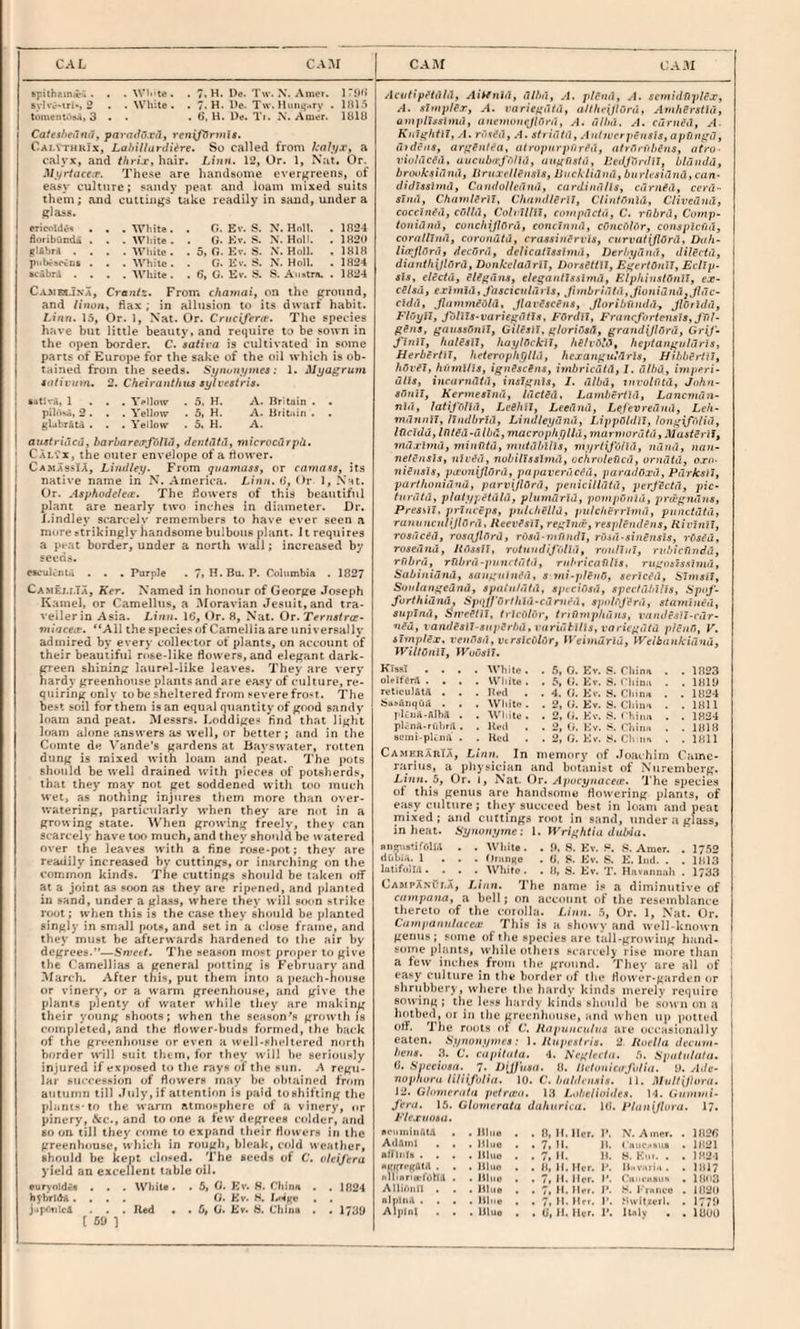spilhein.v; . . .\V''‘W. . 7. H. De. Tw. X. Aiiioi. I’ll') sylvc'iri', 2 . ■ White. . 7.H. Dc. T\v. l!iini;.iry • llU.i t»ine)it>'>S4, 3 • • . 6, H. De. Ti. X. Aiuer. lUlU Catfslifilnit, paratlo.riif reriif^rutis, CaiathuJx, Labillardiere. So called from K'alyx, a calyx, and thrix, hair. Liun. 12, Or. 1, Nat. Or. Mi/rtaccx. These are handsome everfireens, of easy culture; sandy peat and loam mixed suits them; and cuttings take readily in sand, under a glass. ericoldo^ . . .White. . G. Ev. S. X. Hnll. . 1324 floribOndii . . . White . . G. Ev. S. X. Holt. . 1320 g!*br4 . . . .While. . 5, G. Kv. S. X. Holl. . IHIR piiltrsKOi . . . While. . G. Ev. S. X. Holl. . 1H24 svjlbr4 .... AVhite. . 6, C. Ev. S. S. .\iistrn. . 1324 CA5iBi.iXA, From chamai, on the ground, and linon, flax ; in allusion to its dwarf habit. Linn. 15, Or. 1, Nat. Or. Cnicifenr. The species have but little beauty, and require to be sown in the open border. C. sativa is cultivated in some parts of Europe for the sake of the oil which is ob¬ tained from the seeds. Stjnuiiymes: 1. Myagruni tiidvum. 2, Cheiranthus sytvestris. SdUvn, 1 . . . YpIIow . 5. H. A. Hrltnin . . plh>^.i, 2. . . Yellow . 5, H. A. Uiitaiii . . glabr&ta . . . Yellow . 5. H. A. anstriacd, harbarexfullit, deiitiltd, microcdrpii. CalCx, the outer envelope of a rtower. CamassIa, Lindley. From guatnass, or caryiass, its native name in N. America. Linn. i>, Or l, Nat. Or. Asphodeleie. The dowers of this beautiful plant are nearly two inches in diameter. Dr. I.indley scarcely remembers to have ever seen a more strikingly handsome bulbous plant. It requires a pvat border, under a north tvall; increased by seeds. ntfulciu.i . . , Purple . 7, H.Bu. P. Columbia . 1827 Came/.ma, Ker. Named in honour of George Joseph Kamel, or Camellus, a .'Moravian Jesuit, and ira- veilerin Asia. Linn. 16, Or. 8, Nat. Or.Ternstrce- vti'jcex. “All the species of Camellia are uni versa! Iv admired by every collector ot plants, on account of their beautiful rose-like Huwers, and elegant dark- green shining laurel-like leaves. They are very hardy greenhouse plants and are easy of culture, re¬ quiring only to he sheltered from severe fro-t. The best soil for them is an equal quantity t)f good sandy loam and peat. Messrs. Loddige-* find that light loam alone answers as well, or better; and in the Comte de \'ande’s gardens at Bayswater, rotten dung is mixed with loam and peat. The pots should be well drained with pieces of potsherd.^, that they may not get soddened with loo much wet, as nothing injures them more than over- watering, particularly when they are not in a growing slate. ^Vhen growing ffcelv, they can Scarcely have too much, and they should be watered over the leaves with a fine rose-pot; they are readily increased by cuttings, or inarching on the common kinds. The cuttings should be taken otf at a joint a.s sf>on as they are ripened, and planted in sand, under a glass, where they will soon strike root; when this is the case they should be planted singly in small pots, and set in a close frame, and they must be afterwards hardened to tlie air by degrees.”—Swett, The season most proper to give the Camellias a general potting is Februarv and IMarch- After this, put them into a peach-house or vinery, or a warm greenhouse, and give the plants plenty of water while tliey are making their young shofjts; when the season's growth is comuleted, and the fiower-buds formed, the back of the greenhouse or even a well-slieltered north border will stiit them, for tliey will be seriously injured if exposed to the rays of the sun. .4 regu¬ lar succession of fiowers may he obtained frrjtn autumn till .Inly, if attention is paid to shifting the plants-lo the warm atmosphere t»f a vinery, or pinery, &c., and to one a few degrees colder, and 80 on till they ctune to expand their fiowers in the greenhouse, which in rough, bleak, cold weather, should he kept chided. The seeds of C. oleijera yield an excellent table oil. •ur>-rtlde» . . . WliiU. . 6, G. Kv. 8. riiinn . . ]fi24 h5'brIdA .... G. Kv. S. . ( 59 1 Acvtip^tilhl, Ai^nln, dlln'i, .4. plena, A. scntidliplfx, A. simpler, A. ctrr/rgJM, atlhfiilOru, Amherathi, amplJssimd, uncmoiKjlOrd, A. ii/lid, A. ciirned, A Knl^htiJ, A. ,4. striil/i], An/tverpensis, apHn^a, d}den3, arf'entea, alropitrpfiretl, afren'ihens, afro- riiddeeu, uiicub<rj'i)lid, uuf^nstd, IledJiirdU, bhlndu, brooksidnd, Uritxvllensls, liucklitlnu, burksirind,can- didJssimd, Cnndollerind, cardindlls, earned, cerd- sinii, Cha}nler}l, ChnvdlBrll, dinifinld, Cliveand, coccGi^iI, cdlld, ColrUlll, compdctii, C. rabrd, Comp- /oiit(7/ui, cunchijlDrd, concinnd, cOnciildr, conspicudt coruUlnd, corundtd, crassinervls, curvaiiJlOrd, Duh- < litrJlOrd, decOrd, delicaiJasUnd, Derbydnd, dilBctd, diant/iiJlOrd, DonkeladrlJ, DorsStlll, Ef'erlOnU, Eclip. sis, elSctd, elifidns, etegantlsslmd, ElphiuslOnlX, ex- cSlsd, exlmid, Jdsciculdi is, Jiinbridld,JioitidndjJldc- cldd, Jliimmeold, JlavBscens, Jlaribiindd, JlOildd, FlOyll, Joliis-variefidtis, FOrdit, Frnncforten8i8,j'vJ- gins, ganssOnll, GUesll, ghridsA, grand{Jl6rd, GriJ^ J'inil, halesll, haylOckll, hBlvd'd, heptanguldris, Herbirtil, heteroph^lld, hcxanguldrls, Hihberlil, hvmUls, ignescins, iinbricdtd, 1, dihd, irnperi- dlls, incarndtd, inslgnls, 1. dibd, involdtd, John- slinil, Kermesinu, IdctSd, Latnberiid, Lancmdn- nld, latifolld, LcShil, Leednd, Lefevrednd, Leh- mujinil, Hndbrld, Lindleydnd, LippGldll, longifoHd, lOcldd,lnied-ulbd,macrophr/Uu, murniordtd, MustSril, mdxlmd, ininfltu, mutdbllls, myrtifOUd, nund, nan- netBnsls, nlved, nobillsslmd, ockmledcd, vrndtd, oxn- niensis, pxuniJlOrd, papaverdcBd, paradOxdfPdrksil, parthonidnd, parvijlOnl, penicilldtd, perjicid, pic- hirdfd, platyj.etdld, plnmdrld, pompfmlu, jfrd'gndns, Pres'tll, princeps, puUhSlld, piilcherrlniu, pnnctdtd, ratiuncnl'JlOrd, Heevesil, reglnd-, respleudBus, Rivhiil, rosdeed, rosqJlGrd, rdsu-vifindl, rOAU-sinensis, rGsBa, rosedJtd, Jldsalt, rvtiDidiJolld, roulhii, rnbicTindd, rfibrd, rfibrd-pn7i<td(d, rnbricafllis, riigoaisslnid, Sabinidnd, sangiitm'd, s mi-plend, sericBd, Slnisil, Sotilangednu, spiiiit/dld, spvcidsd, spec/dbllts, Sp»J- furthidnd, SpoJf'Orthfd-cdnn'd, sjiolej'erd, stamined, supind, iSn'e^Gf, trieOlGr, tniiniphdns, i'andeslJ-cdr- ned, vaiideslJ-snperInl, faridtUls, varicgdld plcnG, V. iimplex, vended, vtrslcGldr, Weimdrld, Weibankuoid, WiUOnli, IVouali. KlssT .... While. . .5, 0. Kv. S. Pliina . . 1823 olvlferft . . . . White. . 5, (h Ev. S. Cliimi . .1819 reticulfitA . . . Ited . . 4. G. Kv. 8. China . . 1824 ^5a^unqilii . . . While. . 2, (f. Ev. S. Cliini* . .1811 plciia-AlhA . . White. . 2, Hv. china . . 1824 pl:-iiA-rf.l.ril . . Red . . 2, ti. Ev. S. Chinn . . 1818 scini-plLin; . . Red . . 2, G. Ev. X. Cl* iin . .1811 CamerahTa, Linn. In memory of .Joachim Came- rarius, a physician and botanist of Ntiremberg'. Lifin. S, Or. I, Nat. Or. Apocynacae, 'J'he species of this genus are hand.Kome fiowering plants, of easy ctilture; they succeed best in loam and peat mixed ; and cuttings root in sand, under a glass, in heat. Synotiyine: 1. IVrigktiu dulMa. . . While. . fh S. Kv. S. Amer. . 17.52 dfdiiii. 1 , . . GfiiDKe . 6, S. Kv. S. E. Ind. , . 1813 lalifoiM. . . . Wliito. . 8, ti. Ev. T. Hnvnnn.-ih . 1733 CampaxC’i.a, Linn. 'J'he name i.s a diminutive of campana, a bell; on account of the resemblance thereto of the corolla. Linn, b, Or. 1, Nat. Or. Campanuhtcex 'J’his i.H a slmwy and well-known germs; some of the species are tall-growing hand- soine plants, while otheis scarcely rise mure than | a tew inches from the ground. 'J'hev are all t)f easy culture in the border «if the Hower-garden j)r shrubbery , where the hardy kinds merely require sowing; the less hardy kinds sliould he sown on a hotbed, or in the greenhouse, ami when up potted otF. 'J'he roots ot C. Hapuncnlns are occasionally eaten. Synonyvirs: 1. liupcstris. 2. Uoella deeinn- bens. .3. C. ciipitiita. 4. bieglevta. b. Spafii/nltt. 0. Specioan. 7- D'JJ'nan. 8. iktunicajhliu. P. Ade- nopfiura litiifolia. 10. C. bablenaia. 11. MuUUIoni. 12. Gbimerata jictrda. 13 Ltibvlioiiles. 14. Giinnni- feru. 15. Giovierata diihttrica. 16. Planijlora. 17. Flexnoau. nciminfttA . . Hlns . . 8, H. Her. P. X. Ainrr. . 1826 AdAiii] , , , Mliio . ,7, H. ]l. CnucMfeid . 1821 mhiir# . . . . Hlito . . 7. H. H. S. K-.t. . .1821 . . .Blue . . 8, H. Her. I'. H-vann. .IHI? hllinr.B-fiJha . . lihic . . 7, H. Her. 1*. CmumniH . 1803 Allirtiill . . .Blue . . 7, H.Hvt. P. |•rnm•e . 182U