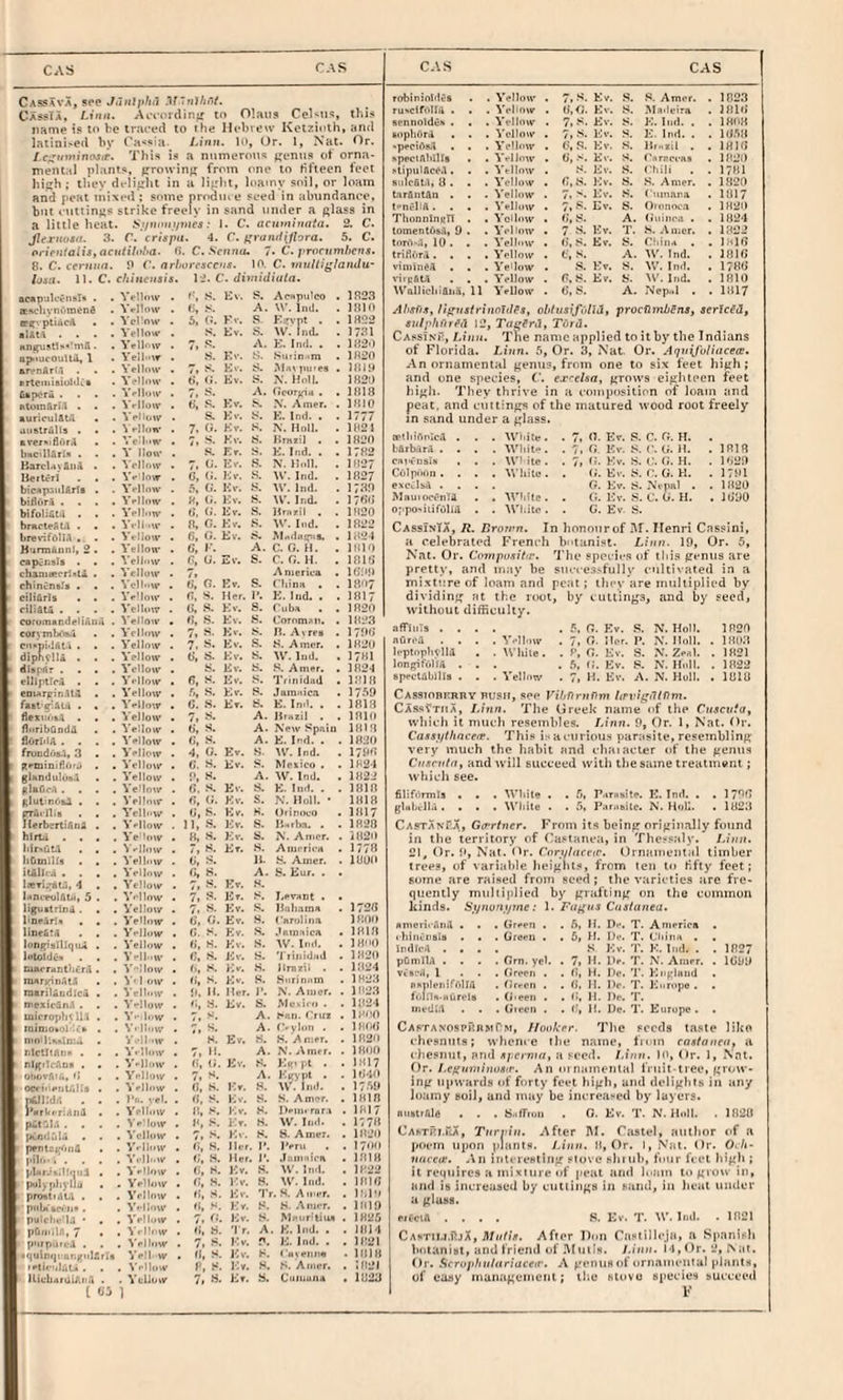 CAS Cassava, see Cassia, Linn. Avvordin^ to Olaus Cel-us, this name is lo he traced to the Hebrew Ketzioth, and iatini^ed by Ca-ssia. Linn, lo. Or. I, Nat. Or. I.c-^inninosie. This is a numerous j;enus of orna- jneiUal plants, prowinjj from one to fifteen feet high; they dt-liglit in a Jiglit, Inamy soil, or loam and peal mixed : some nrttdui e seed in abundance, but cuttings strike freely in sand under a glass in a little beat. Sjinouiimes: 1. C. acuminata. 2, C. Jlixnasu. 3. C. crispn. 4. C. f'ra mi {flora. 5. C. pnen(alis,acniitoha. •>. C. .S'enao, 7» C. procumhens. 8. C. ceruna. 9 C. arhorcsccus. 10. C. tnuldglaudu' hat. 1]. C. chincnsis. 1C. di»niditi/n. Yellow . t, S. Ev. 8. Acapulco . 1R23 Yellow . ti, .•». A. W. Ind. HUG YePow . 3, G. Kv. S- E^vpt . . 1«22 ^ ellow . S. Ev. S. W. Ind. , 17.T1 Yelh-w . 7, 8. A. E. !ml. . . 1H2') ■JXUCOUilil, 1 Yeih-w . S. Kv. y. .8urin-'m . lM2n Yellow . 7, 8. Kv. 8. .Mavpii'es . IGIP Yellow . 6, t{. Ev. 8. X. Holi. lH2t) {LBpor& . . . . Yellow . 7, S. A. Goortriii . • 11)18 Yellow . fi, 8. Kv. .8. X‘. Amer. . 1810 Yellow . S. Kv. 8. K. Ind. . . 1777 Vell.ifV . 7. G. Ev. 8. N. Holl. . 1821 Yellow . 7, S. Kv. 8. Brnril . . 1820 Y How . .S. Ev. 8. E. Ind. , . 1TH2 Ycll<iw . 7, G. Ev. .S. X. Holl. . 1827 Ye low . C, G. Ev. Ind. . 1827 bic^pjiilSrlt . . Yellow . ,S G. Ev. AY. Ind. . 17.39 bidurl . . . • Yellow . «, a. Ev. .S. \V. Ind. . 17GG Yellow . fj, G. Ev. S. Hrnril . 1820 briicleflni . . . Yellow . 8, G. Ev. .8. AY. Ind. . 1822 breWfOlU . . . Yellow . 6, G. Ev. 8. Al.olnipis. . 1824 Yellow . G, 1*. A. c. n. H. . IHIO eapjnsis . . . Yellow . G, 0. Ev. S. C. G. H. . 181G chanieecri^lA . . ^ elluw . 7, America . IGP.q Yellow . G, 0. Ev. S. rhioH , 18M7 cili&rls . . Ve'low . G. S. Her. P. E. Ind. . . 1817 ciliatfi . . . . Yellow . G, .8. Kv. S. Cuba . . 1820 corumandeliHUH . Yellow • G, .S. Ev. S. Cornmaii. . 1823 Vcilow • 7, S. Kv. 8. It. Avrea . 179G Yellow . 7. 8, Ev. S. 8. Amer. . 1820 diphelU . . . bellow . G, S. Ev. S. AY. liid. . 1781 dI«p<Ar . . . . Yellow . S. Ev. 8. S. Amer. . 1824 vllipUrA . . . ^ ellow • 6, 8. Ev. .8. Trinidad • 1818 eoiArpiR.ua . . Yellow , Ft, S. Ev. 8. Jamaic.'i . 17.39 fiit'fiAOl . , . Yellow « G. S. Ev. 8. E. In.h . 1818 flexiuisA . « « Yellow . 7, 8. A. Brazil , 181(1 floribOndii . . Yellow . G, S. A. New Spain 1818 flOrl'IA . . . . V el low . G, .s. A. E. Ir.d. . 1820 frundiia.l, 3 . . Yellow • 4. G. Ev. S. AY. Ind. 179G ^rminillorA . . Yellow . G. S. Ev. 8. Mexico . 1H24 glsndulus.l . . Yellow . V, 8. A. AY. Ind. 1H22 \e.'lnw . G. 8. Ev. S. K. Ind. . 1B18 clutinAsa . . . Yelh*w . G, G. Ev. S. N. Holl. • 1818 ^SnUiu Yellow . G, K. Kv. .8. OriniK’O 1817 IlerbsrtiAnl . . Yellow . n, 8. Kv. .S. IJ^rba. . 1820 hirta ... Ye'ow • H, 8. Kv. S. X'. Amer. 1820 hirsutl . . Yellow . 7, 8. Ev. 8. Amcrii-K 1778 htimilrs . , Yellow . G, 8. 11. 8. Amer. 1800 Yellow . G, 8. A. S. Eur. . ICTi^ntt.'i, 4 . Yellow 7, 8. Kv. 8. iHOceulatii, 5 . Yellow . 7, 8. Et. .8. Levant . liguctrlnA. . Y'ellow . 7. 8. Kv. 8. llnhomA 1720 lificArlit . . Vetlow . 6, G. Ev. 8. ('Hrolina 1800 line&tA . . Yellow G, S. Kv. S. .tttimiica 18in longisIlIqiU . Yellow . t;, 8. Kv. S. AY. lod. 18'lO IntoIdC'B . . Yelhov . G, 8. Kv. 8. '1 rinidiid tUArr^ntliCnl. ^’•’Ilow • fi, 8. Kv. .S. Ilmzii . 1824 raurKinAli . \- 1 ow . t>, 8. Kv. S. Stiriniun 1H23 nurilaodicd . Yellow 9. H. Her. 1’. N. Amer. 1M23 mexiefin.t . . Yellow G, 8. Ev. 8. Muxiro . . 1824 microptit U-1 . Y- low 7, S, A. >*iin. Ctwz IHI'O V.llow 7, S. A. (Vvlori . 1 Ht-G 8. Ev. 8. S. Amer. . 1820 ntctItAiis . . Y.lt..w 7,11. A. X. Amer. . 1800 nigrlrAo* . > Yellow G, <». Ev. 8. Kif» pt . . 1817 oitor.'Ur,, t; Yellow 7, 8. A. Etcypt . Yellow 0, S, Ev. 8. AY. Ind. . 17-39 iWJlIdd . . P.I. vel. G, 8. Ev. S. S. Am^r. . 1818 Yellow G, 1“'. I’iv, 8. Denii rer i . 1817 pJtal.i . . . Ve’low P, 8. Ev. 8. AY. Iiid. . 1778 , Yellow 7, S. Kv. 8. 8. Amer. . 18’20 peniki{^>i]A • . Yellow (>, S. Her. 1'. Peru . I70U pll..- . . . . . Yellow G, 8. Her. P. .Limnica pUrJs.ltniil . . Yellow . G, 8. Kv, 8, AY, Infl. . 1822 pulyphvllu . . Yellow . 0, 8. r.v. 8. AY. Iml. . 181G protti.lU . . . Yellow piilMBcr ii* . . Yellow . G, 8. Ev. 8. 8. .Amer. . HHD . Yellow . 7, G. Kv. S. MaurUiua . 1825 pGiiiiU, 7 . Yellow . G, 8. 'I'r. A. K. Ind. . . 1814 p'trpuri-A . . , Yellow . 7, 8. Kv. P. K. Ind. . . 1821 xuuintii BiivtilflrU Veil, w , G, .8. Kv. 8. t'luetina . 18)8 . Yellow P, 8. Kv. 8. S. Amer. . 5 821 lliub4ruiAiiri . . Veliuw 7, 8. Ev. 8. C'uinuiu . 1823 robinioldes . Yellow . 7,8. Ev. .8. .8. yVmcr. . 1823 ru>cifolItl . . Vellnw G.G. Kv. 8. Maileira . iriiG scnnoldiis • . Yellow 7, 8. Ev. S. K. Ind. . . IHOH sophOra . . A'cllow . 7, .S. Ev. S. E. Inrl. . . 10.38 -pecibsil . . VcHow . G, S. Ev. S. HrMzil . . IHJG xpecinhills . YvlJow . G, Ev. S. Crirrcvas . 1821) i>tipulficcA. . A ellow . 8. Ev. S. Chih , . 1781 aiiicfiU, 8 . . Yellow . G.S. Ev. S. S. Amer. . 1820 tirfintAn . . A'ellow . 7. >. Ev. 8. Cninara . 1817 tenvIiA. . , A'ellow • 7, .8. Ev. S. Ovnnoc.i . 1820 ThonnlnRn . A’oHow • G, S. A. Gittiica . . 1824 tomentusA, 9 . A'cllow . 7 S. Ev. T. 8. Amer. , 1822 ton’i'.l, 10 . . Yellow . G, .8. Ev. 8. riiiiM . . JHIG trifiur.l . . A'ellow . f, S. A. AY. Ind. . IfilG viminCA . . A'eilow • .8. Ev. S. AY. Ind. . 178G vivpea . . A’ellow . G,8. Ev. S. AY.Ind. . 1810 AYollichiAi.a, 11 A'ellow . 6, S. A. Nep..l . . 1817 Ahsfis, lif^uslrinouiSs, ohfusift'ilid, procflmbSns, serlciHf sutphfirfiii 12, Tn^irii, Tord. CassiniI, Linn. The name applied to it by the Indians of Florida. Linn. 5, Or. 3, Nat. Or. Aqaifo/iacece. An ornamental genus, from one to six feet high; and one species, C. exrelsa, grows eighteen feet high. They thrive in a composition of loam and peat, and cuttings of the matured wood root freely in sand under a glass. aethtrtnlcA . . . AVhite . . 7, G. Ev. S. C. G. H. bArbarA . . , . AVhit« . . 7, G. ICv. 8. r. G. H. . 1818 cai>vusiii . . AYl ite . . 7, G. Kv. S. G. H. . 1G29 Cblpoon . . . . AVhile . . G. Ev. 8. G. H. . 1791 exCclsA . . . . G. Kv. S. .Xvpnl . . 1820 MauinccnTA . . AVhite. . (5. Ev. S. U. G. H. . Juyo oppO'ilh’whA . . AA'hite . . C. Ev S. CassInTX, R. Drornn. In honourof hi. Henri Cassini, a celebrated French botanist. Linn. 19, Or. 5, Nat. Or. C’orMp(»*i7(P. The species of this genus are pretty, and may he suicesi-fully cultivated in a mi.xture of loam and peat; ilicy are multiplied by dividing at the root, by cuttings, and by seed, without difficulty. affJiiIs .... . 5, (7. Kv. S. N. Holl. lP2f> nuroa .... Yellow . 7, G. Jlor. P. N. Holl. . IHO.T leptoplKlIa . . Wliite. . f, G. Ev. S. N. ZmI. . 1H21 longifOlfA ... .5, G. Kv. .«!. N. HtiM. . 1822 BpecUbills . . . Vellnw . 7, M. Ev. A. N. Hull. . 181U CASsioBnRRY BUSH, see Fi/jf)rnPm hrvigiltPm. CassYtiia, Linn. The Greek name of ilm CusevtOf tvliich it much resembles, /.inn. 9, Or. 1, Nat. Or. Casajfthace/r. This i.-^acurious parasite, resembling very much the habit and cbaiacter of the genus Cn.inffa, and will succeed with the same treatment; which see. filifiirmls . . . White . . /», P.tTHsite. E. Inil. . . 179f> gl«lalU. . . . White . . 5, Pi»r..8Uc. N. MoC. . 1U23 CastanEa, G<rrtner. From its being originally found in the territory of C'astanea, in Thessaly. Linn. 21, Or. !', Nat. Or. Coriflacvic. Ornamenial timber trees, of \ariable heights, from ten l«i Kfty feet; some are raised from seed ; the varieties are fre¬ quently multiplied by grafting on the common kinds. S,yno7iiyme; I, Fnnua Cnatanea. smcrii'i'inil . . I'hiiiviisia . • IndIrA . . . pCmllA . . . VCBC-A, I . . SKitleiiifrilhl fulns-niirela media . . . Green . . 6, II. D--. T. America . Green . . 6, H. Dv. T. Cliiioi . . S Ev. T. K. liid. . . Gm. yeh • 7, H- He. T. N. Amer. . ftrueii . . ti, H. He. '1'. KiiglHiid . Green . . fi, II. IV. T. I'iurope. . Gieeii . . <1, H. He. T. . Giccii . . ('• II. Dc. T. Kiirupc. 1827 lGb9 CAPTANOspftHMr'M, Ilooker. The seeds taste Hlco chesniits; whence the name, from eaafanenf a <-hesnut, and apernia, a seed. Linn. It', Or. 1, Nat. Or. Le^mninusff. An oinainenlal fruit-tree, gvotv* ing upwards of forty feet high, and delights in any Irjamy soil, and may be increased by layers. AiiatrAle . . . S.ifTroii . G. Ev. T. N. Hull. . 1820 Castki.M, Tnrviu. After hi. Castel, author of a poem upon plants. Linn. 8, Or. I, Ntii. Or. O./i- nacco!. An inlcrewling stove shiuh, four feet high ; it requires a mixture of peat and loam to grow in, and is increased by cutlings in sand, in heat under a glass. crCciA .... 8. Ev. T. W. 1«k1. . 1821 Castiij.iIjX, After Don Ctistillcja, a Spanish hoianisl, and friend of hluils. Linn. 14, Or. *J, Nat. Or. Seruphulitriaceir. A genus of ornamental plants, of easy management; the stove Bjiecies succeed i UO 1 F