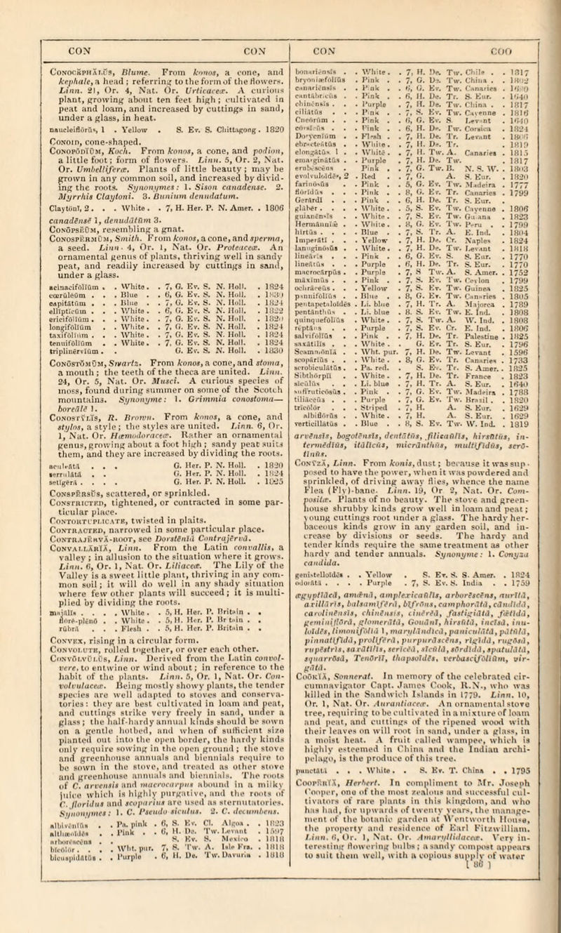 CoNOcSpMAT.r-?, Dlume. From hums, a cone, and kejiluile, a head ; referrinij to the form of the riovver?'. Linn. 21, Or. 4, Nat. Or. Urticaceir. A curious plant, prou’ing about ten feet high; cultivated in peat and loam, and increased by cutting.s in sand, under a ^lass, in heat. oaucleiflurri*, 1 . Yellow « S. Ev. S. C)iitt.^ong. 1820 CoNOin, cone-shaped. ConopOdTOm, Knell. From kanos, a cone, and podinn, a little foot; f»trm of flowers. Linn. 5, Or, 2, Nat. Or. UmhellifcriB. Plants of little beauty ; may be prown in any common soil, and increased bydivid- inR tlie roots. Synotv/mes: 1. Siton canadense. 2. Myrrhia Claytoni. 3. Dtuiium deniiilatum. ClaytunT, 2. . . tVliite . . 7> H. Her. P. N. Amer. . 1806 canadSiiai 1, denuJutflm 3. CoNopsiiOM, re.semhlin^t a gnat. Conospkr.mOm, Sinilk. From Aronoi, a cone, and 5perni/i, a seed. Linn- 4, Or. 1, Nat. Or. Proteucees. An ornamental ^enus of plants, thriving well in sandy peat, and readily increased by cuttings in s&jul, under a glass. acinaoifolIQm . .White. . 7. 0. Kv. S. N. Moll. .1324 ccuruldum ... Dlue • • b‘, G. Ev. S. N. Moll. . 1K.'V) edpitStum • . . Itliie . . 7, G. Ev, S. N. Hull. . 1324 aUlpticem ... V/Uite . . 6, G. Ev. S. N. Moll. • 1322 ericifollum. . . White. . 7, 0. Ev. S, N. HnH. . I32i' longifOlIum . .White. . 7. G. Ev. S. N. Holl. . 1324 taxifftlliim . . .White. . 7. G. Ev. S. N. MolL .1324 tenuifoKum « . White. . 7. G. Ev. S. N. Holl. . 1324 triplinervium. • G. Ev. S. N. Holl. . lU3t) ConostQmOm, SrvaHz. From kono$, a cone, and stoma, a mouth ; the teeth of the theca are united. Linn. 24, Or. 5, Nat. Or. Mitsci. A curious species tif moss, found during summer on some of the Scotch mountains. Synonyms: 1. Grimmia conostoma— boreali! 1. CoNosrfiJs, R. Broivn. From Aronoj, a cone, and stylos, a style ; the styles are tinited. Linn. 6, Or. ij Nat. Or. I-hemodoractis. Rather an ornamental genus, growing abovit a foot high ; sandy peat suits them, and they are increased by dividing the roots. BP.il.-At,l ... G. Her. P. N. Hull. . 1820 ■•‘rridfiU . . G. Her. P. N. Holl. . 1324 setlgerA .... G. Her. P. N. HolL . IWS CoNSPEBSL's, scattered, or sprinkled. CoNSTBicTED, tightened, or contracted in some par¬ ticular place. CoNTouTCpr.icATB, twisted in plaits. ^ CoxTJiACTBD, narrowed in some particular place. CoNTBAJp:itvA-Hi)OT, 806 DorsUnhl ContrajSrvfi, ConvamAbTa, Linn. From the Latin convallis, a valley ; in allusion to the situation where it grows. Linn. 6, Or. 1, Nat. Or. LiViacerf. The Lily of the Valley is a sweet little plant, thriving in any com¬ mon soil; it will do well in any shady situation where few other plants will succeed; it is multi¬ plied by dividing the roots, mainlln .... While . . 5, H. Her. P. Hritaln . • rn'TS-plcuO . . Wliite . . .*», H. Her. P. Hr t«ii» . , TubrA . . . Flfsh . • 5, H. Her. P. llritHio . . Convex, rising in a circular form. Co-Nvoi.cTB, rolled together, or over each other. C<»Nviii.v0i.08, Linn. Derived from the Latin convol¬ vers, to entwine or wind about; in reference to the habit of tlie plants. Linn. 5, Or. 1, Nat. Or. Cou- vulvulacsic. Deing mostly showy plants, the lender spei'ios are well adapteu to stoves and conserva¬ tories: they are best eultivated in loam and neat, and cuttings strike very freely in sand, unner a glass; the half-hardyannu.'il kinds should be sown on a gentle hotbed, aiul when of sutheient si/o planted nut into the 0])en border, the hardy kinds only require sowing in tlie open ground ; the stove ana greenhouse annuals and biennials require to be sown in the stove, and treated as other stove and greenhouse annuals and bieniilHls. 'I'he roots of C. arcriMi's and macrocarpiis abound in a milky |ulcu which is highly purgative, and the roots of C. floriJiis jmd scopnriiis are tised as sternutatories. Sijiiontfuies: 1. V. I’ssndu siculns. 2. C. dccumhens. slhlv.'ntfiB . . Pii. pink . 6, S. Kv. Cl. AIkiw . , 11123 althic.A.k'. . .Pink . • «. M. IK*. Tw. Uvunt .l.Vi? nrlxin'HCi-iU . • 1 * !,!}*! hfrotor. . . .WlU.pur. 7, K 1 w. A. Ukl-ra. . 1313 biciispUlAtilB . . Purplo • 6, M. De. Tw. Dsvkir.i* . lUlU bon^rien^fs . . V/hite . . 7, H. !V. Tw. Chile , . I8I7 hrv'^oiH'fAU&a . I'ink . , 7, G. U*. Tw. China . . iHoo Cromritnsls . . P nk . . 3, G. Ev. Tw. Canaries . l<»‘r) OHntAhr.ctis . . J'ink . . fi, JI. Dc. Tr. S- Enr. . l*i4o chiiicnsls . . . Purple . 7, M. De. T»v. Chin.i . . 1317 ciliAtCia . . . P flu . . 7i Ev. Tw. Cayenne . 1316 Ciioi'in'iin . . . Pink . . 6, G. Ev. S I.eT<nt . Mi-fO cO'al-fia . . . I’ink . . 6, H. D**. Tw. Cnrsk-a . 1821 Doryenrum . . H-nh . . 7. M. Ue. Tr. Lev-.<nt . iBi'5 ehrxvli-iitua . . ^V'llile. . 7, M. D--. Tr. . 131P elnn^atu- 1 . . While. « 7, M. Tw. A. Canariea . 181.> eiiia'^n&tus . . iNirple . 7. De. Tw. . 1817 erubOSL'ens . Pink , . 7, G. Tw. B. X. 3. W. . IH03 evolvuli.id^*, 2 . Ked . . 7, G. A. S. Knr. . 1H2U farinusus . . Pink . . 5, G. Ev. Tw. Madeira . 1777 di'irldfis . . . Pink . . 8, G. Ev, Tr. Canaries . 1799 GerArdi . . . Pink . . C, H. De. Tr. g. Eur. . (flaher . . . . White. . 5, S. Ev. Tw. (':ivenae . 1806 RuiaiifnsTs . . White. . 7, Ev. Tw. Gn’ana . 1823 Hcnnaiinl-fi . . While. . 3, G. Ev. Tw. P-ru . . 1799 hIrluB .... Blue . . 7, Tr- A. K. Ind. . 1304 liiiperSti . . . Yellow . 7, H. De. Cr. Xaplc* . 1824 l.inii^Du^Os . . White. . 7, H. De. Tw. l,evant . IHIH liiieAr::! , . . Pink . . 6, G. Kv. S. g. Eur. . 1770 HneAtQs . . . Purple . 6, H. De. Tr. S. Eur. . 1770 niacrncArpils . . Purple . 7, Tw. A. S. Anicr. . 1752 muTimiis . . • Pink . . 7, S. Kv. Tw. Ovlon , 1799 ochraeeus. . . Yellow . 7, Ev. Tw. Guioe-A . 1825 ptnnifollus . . Blue . . 8, G. Et. Tw. CanMrtes . 1805 pentapetaloldes . I.i. bine . 7, M- Tr. A. .Majorca . 1789 peotAiithriH , . Li. blue . 8. S. Kv. Tw. E. Ind. . 1808 quinqaefOb'Cis . White. . 7, S. Tw. A. W. Ind. . 1808 rtptans . . . Purpl« . 7, S. Ev. Cr. E. Ind. . 180G salvirollus « . Pink , . 7. H. De. Tr. Palestine . 1825 saxAtilis . . . White. . G. Ev. Tr. S. Eur. . 1796 ScamniAnTA . . Wht. pur. 7, H. De. Tw. Levant . 1596 scnpiirlhs , . . While . , 8, G. Ev. Tr. Cannries . 1733 scrobicuhitus. . Piu red. . S. E-. . Tr. S. Ainer.. 1825 SiblhOrpn . . White. . 7, H. De. Tr. France . 1823 bltfCilus . . . Lt. blue . 7, H. Tr. A. S. Eur. . 1644> Mifl'ruticfisus . . Pink . . 7, G. Ev. Tw. Ma<leira . I788 tiliAcens . . . Purple . 7, G. Ev. Tw. Kr.iiil . . 1920 tricolor . . . gt'iped . 7, H. A. S. Enr. . 1629 albifinrOs . . White. . 7, H. A. S. Eur. . 1629 ^'erticillutue . . Blue • . 3, S. Ev. Tw. W. Ind. . 1819 arvSnsIs, bogot?nsts, dcnidtns, ,filisa(ills, hirsDtiis, in- tennidlQs, itdllciis, micrdntliiis, miiU{fidfiSf SfrO- tlnfis. CoN^zA, Linn. From Aron^, dust; because St was sup¬ posed to have the power, when it was powdered and sprinkled, of driving away flies, whence the name Flea (Flv)-bane. Linn. 19, dr 2, Nat. Or. Com- positiT. Plants of no beauty. The stove and green- liouse shrubby kinds grow well in loam and peat; >oung cuttings root under a glass. The hardy her¬ baceous kinds grow in any garden soil, and in¬ crease by divisions or seeds. The hardy and tender kinds require the same treatment as other hardv and tender annuals. Synonyms: 1. Conyza Candida, f^enistrUoIdOi . . Yellow . S. Et. S. S. Amer. . 1324 oiloiALl .... Purple . 7> 9. Ev. S. India . . 1759 agypthleil, anuftul, amplsxicafills, arborisefns, nurUil, a cillrirls, bats(im{ffril, blfrfin3,camphor,Jtil, cJndhlil, carolinfnsls, cliinfnsis, cinfr/il, fastigiilttl, Jietldii, grmiiii/hlrd, g/i>Nirr<7M, Goiidar, ineJsd, inu- loUlfs, limoniJ'Ollii \ ,mari/tdnJlcd, paniciililtd, pdtilld, pinnatlt'idd, proUf^ril, pitrpurJscens, righ/d, rugrt.»d, rnptstrls, sa r<7G/lr, Bcr/r^d, sJciild,sOrd'ldd,sfKituldld, sijuarriisd, Tendril, tluipsoldis, verbasciJ'dUQm, vir- gdtd. CoOkTA, v^oHiierjL In memory of the celebrated cir- cumiiRvigator Capt. James C»H»k, U.N., wh«» was hilled in the Sand^vich Islands in 1779. Linn. 10, Or. 1, Nat. Or. .-iHrun/iurfcr. An ornamental stove tree, reqtiiring to be evil tivated in a mixture of loam and peat, and cuttings of the ripened wood with their leaves on will rwt in sand, under a glass, in a moist heat. A fruit called wampee, which is liighly esteemed in China and the Indian archi¬ pelago, is the produce of this tree. puiictAU . • . White. . S. Ev. T. Chin* • . 1795 CoopfuiTX, Herbert. In compliment to .Mr. Joseph t'oopc'r, one of the most zealous and successful cul¬ tivators of rare plants in this kingdom, and who has liad, for upwards »>f twenty vears.the manage¬ ment of the botanic garden at \^'entworth House, the property and residence of Karl FitzwilHaiu, /.inn. 6, Or. 1, Nat. Or. .•luttjrt///iJa<*Ae. A’ery in¬ teresting flowering bulbs; asandy ctunpost appears to suit them well, with a copious supply of water 1 1