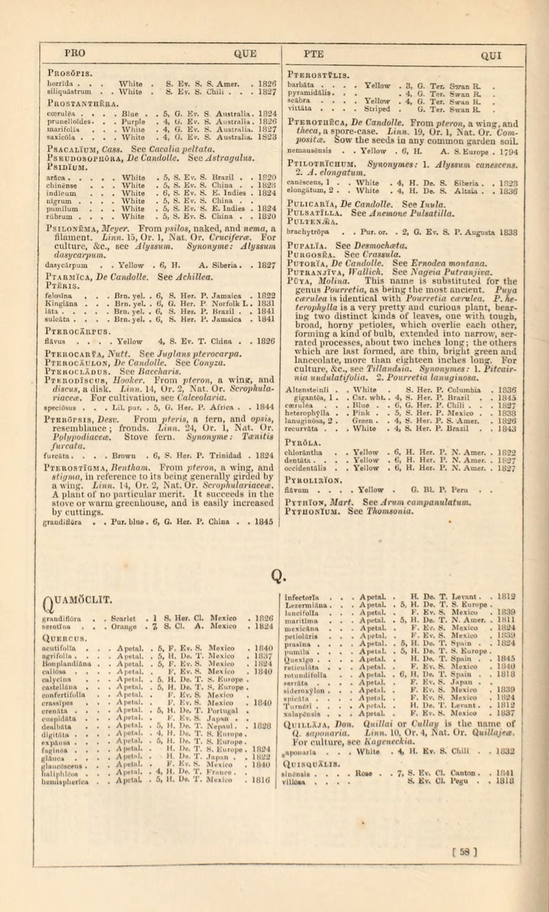 PRO QUE PuosOpis. Iiorrida . . . White . S. Ht. 8. S. Amer. . 1826 Biliquistrum . . Wliite . 8. Ev. 8. Chili . . . 1827 PftOSTANTUKBA. cocrul^a . • . . Blue . . 5, Q- Be. S Australia. 1824 prunellnidea. . . Purple . 4, li. Ev. 8. Australia. 1826 marifolia . . . White . 4, 0. Ev. 8. Australia. 1827 saxicOla .... White . 4, U. Ev. S. Australia. 1828 PsACALiUM, Cass. See Cacaliaj^eltata. PsEUDOsopuoRA, Ds Caiidulle, See Astragalus. PsiDiUM. nrflca ..... Wliite . 5, S. Ev. S. Brazil . . 1820 cliineDse . . . White . 5. S. Ev. S. Chioa . . 1828 indloum . . . White . 6. S. Ev. S. E. Indies . 1824 ulgrum .... White . 5, S. Ev. S. China . . pumilum . . . White . 5, S. Ev. S. E. Indies . 1824 nibrum .... Wliite . 5, 8. Ev. S. China . . 1820 PsiLOKEMA, Meger. 'FTom psilos, naked, and nema, a filament. Linn. 15, Or. 1, Nat. Or. Cruci/era. For culture, &c., see Alyssum. Synonyme: Alyssuin dusycarjmm. dasycurpuui . Yellow . 6, H. A. Siberia. . . 1827 PtarmIca. De Candolle. See Achillea. Pteris. felosina . . . Brn. yel. . 6, .S. Her. P. Jamaica . 1822 Kingi&oa . . . Brn. yel. . (>, 0. Her. P Norfolk I.. 1831 lAta. Bru. yet. . 6, 8. Her. P. Brazil . . 1841 sulc&ta . . . . Brn. yel. . 6, S. Her. P. Jamaica . 1841 Ptkbocaupds. davus . . . . Yellow 4, S. Ev. T. China . . 1826 PteuocarPa, Kutt. See Juglanspterocarpa. Ptekocaulon, l)e Candolle. See Conyzu. Ptekocladus. See liaccharis. PTRBODlsctfs, Hooker. From jtteron, a winsr, and diseus, a disk. Linn. 14, Ur. 2, Nat. Or. Scro2}hula- riacete. For cultivation, see Calceolaria. ipeciOhus . . , Lil. pur. . 5, O, Her. P. Africa . . 1844 pTBnOrais, Desv. From jiferis, a fern, and opsis, reseniblaijce; fronds. Linn. 24, Or. 1, Nat. Ur. Pvlypodiacea. Stove feni. Hynonyme: Tanitis furcata. furcflta. . . . Brown . C, S. Her. P. Trinidad . 1824 PterostIgria, From pferon, a winff, and stigma, in reference to its bciiiK generally girded by a wing. Linn. 14, Or. 2, Nat. Or. Scrojinulariaceic. A plant of no particular merit. It succeeds in the stove or warm grccuUouse, and is easily increased by cuttings. graudilldra . . Pur. blue. 6, G. Her. P. Ciiina . . 1845 PTE QUI PTEROSXfLIS. barbflta .... Yellow . 3, 0. Tet. Swan R. pyramidfilis. . . . 4. G. Ter. Swan R. . scAbra .... Yellow . 4, 0. Ter. Swan H. viitAta .... Striped . U. Ter. Swan R. Pterotueca, De Candolle. From pteron, a wing, and fAeca, a spore-case. Linn. 19, Ur. 1, Nat. Or. Com- 2W8ita. Sow the seeds in any common garden soil. nemausensia . . Yellow . 6, H. A. S. Europe . 1794 PtilotrIchum. Synonymes: 1. Alyssuin canescens. 2. A. elongatum. canescens, 1 . . White . 4, H. De. S. Siberia . . 1823 elongatum, 2 . . White . 4, H. De. S. Altaia . . 1886 PulicarIa, De Candolle. See Invla. Pulsatilla. See Anemone Pulsatilla. PULTEN^A. brachyirdpa . . Pur. or. . 2, 0. Ev. S. P. Augusta 1838 PcpalTa. See Desmochata. PuRGosEA. See Crassula. PutobTa, De Candolle. See Ernodea montana. PuTRANjfVA, fyallich. See Nageia Putranjiva. POya, Molina. This name is substituted for the genus Pourretia, as being the most ancient. Puya carulea is identical with Pourretia cterulea. P. he- ierophylla is a very pretty and curious plant, bear¬ ing two distinct kinds of leaves, one with tough, broad, horny petioles, which overlie each other, forming a kind of bulb, extended into narrow, ser¬ rated processes, about two inches long; the others which are last formed, are thin, bright green and lanceolate, more than eighteen inches long. For culture, &c., see Tr/Zandsia. Synonymes: 1. Pifcair- nta undulatifulia. 2. Pourretia lanuginosa. AltensteiDli . . While S. Her. P. Columbia 1836 gi^antC'S, 1 . . Car. whu 4, S. Her. P. Brazil 1845 . Blue . 6. G. Her. P. Chili . . 1827 helerophj'lla . . Pink . . 5, S. Her. P. Mexico . 1838 lanuginbiia, 2 • Green . . 4, S. Her. P. S- Amer. 1826 recurvAta . . . White . 4, S. Her. P. Brazil 1843 PYRdLA. chlor&ntha . Yellow . 6, H. Her. P. N. Amer. 1822 destAla. . . . Yellow C, H. Her. 1*. N. Amer. 182* occidentdlia . . Yellow 6, H. Her. P. N. Amer. 1827 PybolirTon. flAvum . . . . Yellow . 0. Bl. P. Peru . PythTon, Mart. See Arum companu/afum. FttuonIum. See I'AonisoKia. Q. QUAMdCLIT. grandlflArn . . Scarlet 1 8. Her. Cl. Mexico . 1826 aeroitim . . . Orange 7, S. Cl. A. Mexico . 1824 Quebcus. ncutifolla . . . A petal. . fi, F. Ev. S. Mexico 1841) agrifolla. . . . A polnl. . 5, H. De. T. Mexico 11137 tionplniuliAniv . . Apetai. . 6, F. Ev. 8. Mexico 1824 callosa • . . . Apetsl. . I'*. Kv. Mexico 184U calyclnn . . . Aptal. . 6. H. Do. T. a. Europe caatellAiiA • . A petal, . 5, H. De. '1. Europe cunfertilullft . Aiiolal. . !••. Kv. 8. Mexico cra><Nl]i<.'s • . . Apelul, . !•'. Kv. S. Mexico 1840 crenAta . • . A petal. . 6, H. De, T. I’ortiiKul cutiiiilAta • . . ApeUil, . 1’. Kv. S. Japan . . Api'tnl. . 5, ll. De. i'. iVepnvil . 1828 digilAla . • • . A|>oIhI. . 4, H. De. T. S. Euriipo. . Api-lal. • 5, n. De. '1. S. Kuropo. . A|m>(ii]. . II. He. T. S. Kuiope . 1824 . 11. De. T. Japan . , 1822 . Apetai. . 1<. Kv. S. Mei^icM) . 1H4U . Ajielnl. . 4, II. De. T. Krniicti. liuiiuspherlca . . ApetaL . 5, II. De. 1. Mexico 1816 infectorla . . Apetai. H. De. T. IfOvant. 1819 LezermiAua . . A petal. . 5. H. Do. T 8. Europe innei folia , . A petal. . F. Ev. 8. Mexico 1839 maritIniK . . A|>etiiU . 5. H. De. T. N. Amer. IHII mexictna , . Apetai. . F. Ev. 8. Mexico 1824 petiolArie . . Apetai. F. Kv. S. Mexico 1839 pruklna . . . . Apetai. , 5, H. D*s T. Spain . 1824 pumiln ■ . . . Apetai. . 6, H. Da. T. 8. Europe 1845 1849 \luexlKO . . reticulAla . . . AtwUl. . . A|>elai. . H. De. T. F. Ev. S. Spain . ^^oxico rulunditolla . . A prtaL . 6, H. De. T. Sp.vm . 1818 aeriAla . . . . ApeUl. . F. Kv. 8. Japan . 1839 sidrroxJ^Kin . . . A)>etal. F. Kv. 8. Mexico spicAtn . . , , Apetai. F. Kv. S. Mexico 1824 Turner) . . . . Apct.tl. . H. De, r. l.fvnnt. 1812 xalnpCiisis . . . Apetai. K. Ev. S. Mexico 1837 OuillXja. Don. Qin7/ai or Cullay is the nnmc of (^ «G/ionaria. Linn. 10, Or. 4, Nftt Ur. QuiUnjete. For cuUurt’, see Kaueneckia. gapiuiarla . . . White . 4> H. Ev. S. Chill . . 1833 QuisquXlis. sinensis . . . . Roeo . . 7, 8. Kv. Cl. Canton. . 1841 villosa . . 8. Ev. C). I’egu . . 1818 [58]