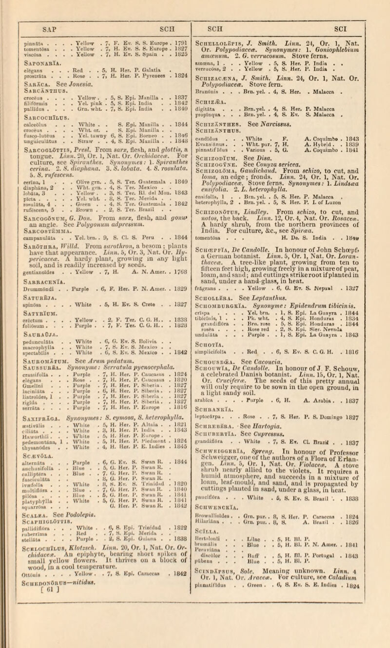 SAP sen sea SCI pinnSlH .... Yello'T . 7« F. Ev. S. S. Europe . 1701 lomentOu . . . Yellow . 7i H. Kr. S. S. Europe . 1827 viwOsa .... Yellow . 7» S. Spain . . 1825 SaponabIa. elegans . . . Red . . 5. H. Her. P. Oalalia . prosirAta . . . Rose . . 7> H. Her. P. Pyreneea . 1824 Saraca. See/one«ta. Sarcamdus. croceus .... Yellow. . 5, S. Epi. Manilla . . 1837 filifOmiis . . . YeL pink . 5| S. Epi. India . . 1842 pallldus .... Grn.wbu . 7* S. Epi. India . . 184U SarcochIlus. caloeOlus . . . White . . S. Epi. Manilla . . 1844 croceus .... Wilt. or. . S. Epi. Manilla . . fusco-luteua . . Yel. lawny 6t S. Epi. Humeo . . 1846 unguiculAtut . . Straw . . 4, S. Epi. Manilla . . 1848 Sabcoglottis, Presl. From sarx, flesh, and glottis, a tongue. Linn, 20, Or. 1, Nat. Or. Orchidacea. For culture, see Spiranthes. Synonymes: \. Spiranthes cerina. 2. S, diuphana. 3. iS. lobata. 4. S. rosulata. 5. S. rufescens. cerina, 1 ... Olive gm. . 5, S. Ter. Guatemala , 1840 diapliAna, 2 • . Wht. grn. . 4, S. Ter. Mexico . lobAta, 3 ... Yellow . . 3, S. Ter. III. del Mnu. 1843 picia ..... Yel. wht. . 8, S. Ter. Merida . zoKulAta, 4 . . . Green . . 4. S. Ter. Guatemala . 1842 rufcAcens 5 . . Brown . . 2, S. Ter. Brazil . • Sabcog6:«um, G. Don. From sarx, flesh, and gonu* au angle. See Polygonum adpreasum. Sarcostemma. campanulAla . ■ Yel. brn.. 9» S. Cl. S. Peru • . 1844 SabOthba, }Vmd. From filtro/Aron, a besom; plants have that appearance. Linn. 5, Or. 3, Nat. Or. Uy- pericacea. A hardy plant, CTowing m atiy light soil, and is readily increased by seeds, gentianoidea . • Yellow . 7, H. A. N. Amer. . 1768 Sabracexxa. DrummOndi . . Purple . 6, F. Her. P. N. Amer. . 1829 Satureja. apinOsa .... White . 6, H. Ev. S. Crete . 1327 SattbTum. erictum .... Yellow. . 2, F. Ter. C. G. H.. . 1838 foH6»um . . . . Purple . . 7, F. Ter. C. G. H.. . 1828 SaubaOja. pedunculAGi . . White . 6, 0. Ev. S. Hulivia . . Diacrophylla . • White . 7> Ev. S. Alexico . . •pecublliA . . . While . 6, S. Ev. S. Mexico . • 1842 Saubomatum. See Arum pedatum. Sa088Ub2a. Synonyine: Hcrratula pycnocepkala, crasxifolla • . . Purple . 7, H. Her. P. Caucaiiue . 1824 elegane . . . Rose . . 7, H. Her. P. C-iucn&us . 1820 Gmelini . . . Purple . 7, H. Her. P. Siberia. . 1827 lacinifita . . . Purple • 6, H. Her. P. Siberia. . 1827 liatruidea, 1 . • Purple . 7, H. Her. P. Siberin . . 1827 rielda .... J’urple . 7, H. Her. P. Siberia. . 1827 MrrAta .... Purple . ?■ H. Her. P. Europe . 1816 SaxifrXga. Synonymes: S. cymosa, 8. heterophylla. aentivAlie . . . Wliite . 5, H. Her. P. Altoia . . 1821 cilinu .... White . 3, H. Her. P. Indin . . 1843 Haworthli . . . While . 6, H. Her. P. Europe. . pedemoDtAoa, 1 . Wlute . 5, II. Her. P. Piedmont . 1824 ibyMnrKlei . . White . 4, H. Her. P. E. Indie# . 1846 SCiCVOLA. allernita . . . Purple . 6, G. Ev. 8. Swan R. . 1844 auchutifulla . . Blue . . 6, G. Her. P. Swan K, calHpMfa . . . Blue . . 7. G. Her. P. Swan R. . faMiaulAta . . • 8, 0- Her. 1*. Swan IL . Ivttfolla . . . While . H. S. Ev. S. Trinidxd . 1820 multiflOra . . . Blue . . 7, 0. Her. P. Swan It. . 1840 pilOsa .... Blue . . 6, G. Her. I'. Swan IL . 1841 nUtvpbylla . . WJiite . 5, G. Her. P. Swan Jl. . 1841 aquarrdw ... G. Her. !». bwaiiK. . 1842 ScALRA. See Podolepis. ScapuiolOttib. pallidifibra . . . While . . 6, 8. Upi. Trinidad . 1822 ruberrima . . . Red . . 7. S. Epi. Merida . . •tellAta .... Purple . . 2, 8. Epi. Guiana . . 1638 ScELOciifi/US, Klotzarh. Linn. 20, Or. 1, Nat. Or. Or- chidacedt. An epiphyte, bearing short snikes of small yellow flowers. It thrives on a ulock of wood, m a cool temperature. OtUiuia . . • • Yellow. . 7, S. Epi. Camccaa . 1842 Scuej)ON5bU8—niiiduB. [ 61 ] ScnELLOLEPis, J. Smith. Linn. 24, Or. 1, Nat. Or. Polypodiaceee. Synonymes: 1. Goniopklebium amcenum. 2. G. veTTucosum. Stove ferns, amcena, 1 . . . Yellow . 5, S. Her. P. India . • verrucosa, 2 . . Yellow . 5, S. Her. P. India . ScniZAC.ENA, J. Smith. Linn. 24, Or. 1, Nat. Or. Polypodiacea. Stove fern. BrunOnia . . . Brn. yel. . 4, S. Her. . Malacca . Scniz.£A. digilAta . . . Brn.yel. . 4, 8. Her. P. Malacca piopinqua . . . Brn. yel. . 4, S. Ev. S. Malacca . ScuiZANTHEs. See Narcissus. ScaizAMHUs. c.indldus . . . IVliite . F. A. Coquimbo . 1843 Evans'Anus. . . Wht. pur. 7, H. A. Hybrid . . 1839 pinnatifldus . . Various . 5, G. A. Coquimbo . 1841 SchizodTom. See Disa. ScHizoGYNE. See Conyza sericea. ScHizoLoMA, Gaudichaud. From sekizo, to cut, and loma, an edge; fronds. Linn. 24, Or. 1, Nat. Or. Polypodiacea. Stove ferns. Synonymes: 1. Lindaaa ensi/olia. 2. L. heterophylla. ensi folia, 1 . . Brn. yel. . 6. S. Her. P. Malacca heterophy lla, 2 . Brn. yel. . 5, S. Her. P. I. of Luzon Scnizo.NOTus, Lindley. From schizo, to cut, and 7wto8, the back. Linn. 12, Or.4, Nat. Or. Rosacett. A hardy shrub, from the northern provinces of India. For culture, &c., see Spiraa. tomentOsa ... H. De. S. India . . 184V ScuieppTa, De Candolle. In honour of John Schoepf» a German botanist. Linn. 5, Or. 1, Nat. Or. Loran- thacea. A tree-like plant, growing from ten to fifteen feet high, growing freely in a mixture of peat, loam, and sand; and cuttings strike root if planted in sand, under a band-glass, in heat. frAgrans .... Yellow . 6, 0. Et. 8. Nepaul . 1327 ScuoiitfiRA. See Leptantkus. ScuomdubgkIa. Synonyme: Epidendrum tibicinis. criKpa .... Yel. bm. . 1, S. Epi. La Giiayra . 1844 tibicinis, 1 . . . Pk. wht . 4, S. Epi. Honduras . 1834 gr:indidOra . . Brn. rose . 6, 8. Epi. Honduras . 1844 rosea .... Ruse ted . 2, S. Epi. 8ier. Nevada undul&ta . . . Purple . . 1, 8. Epi> La Ouayra . 1843 ScnoTlA. simpiicifolla . . Red . . 6, S. Ev. S. C. G. H. . 1816 SciiousBUA. See Cacoucia. ScuouwIa, De Candolle. In honour of J. F. Schouw, a celebrated Danish botanist, iinn. 15, Or. 1, Nat. Or. Cruci/era. The seeds of this pretty annual will only require to be sown in the open ground, in a light saudy soil. arablcft .... Purple . 6, H. A. Arabia. . 1837 ScuraxkTa. leptocArpa . . . Rose . . 7» S. Her. P. S. Domingo 1827 SciiREnfiRA. See Ilartogia. ScuitreutIa. Sec Cupresaua, giandidOf* . . While . 7i S. Ev. CL nraiit . . 1837 SciiwriogkrTa, Spreng. In honour of Professor Schweigger, one of the authors of a Flora of E rlnn- gen. Linn, b, Or. 1, Nat. Or. Piolacea. A etove shrub nearly allied to the violets. It requires a huiiud ntinosphcrc, and huccceds in a mixture of loam, leal-mouldy and sand, and is propagated by cuttings planted in sand, under a glass, m heat. pnneifiOra . . . While . 6, 8. Ev. 8. Brazil ’. . 1038 ScilWERCUlA. Brownllioldee. . Orn. pur. . 8, H. Her. P. Cnrnccas . 1824 HilariAna . . . Gro. pur.. 8, 8. A. Brazil . . 1826 ScIl.I.A. llcrt/ilimll . . . Lilac . . ft, H. Bl. P. bruiiiAlia . . . Blue . , 6, H. Ul. P. N. Amer. . 1841 I'ariiviAna . . . dlicolor . . , RiiiT . . 6, H. Bl. P. Portugal . 1843 pQbeus . . . Blue . . 6, H. Ul. P. SciNDXrsus, Sole. Meaning unknown. Linn. 4 Or. 1, Nat. Or. Araccit. For culture, see Caladium