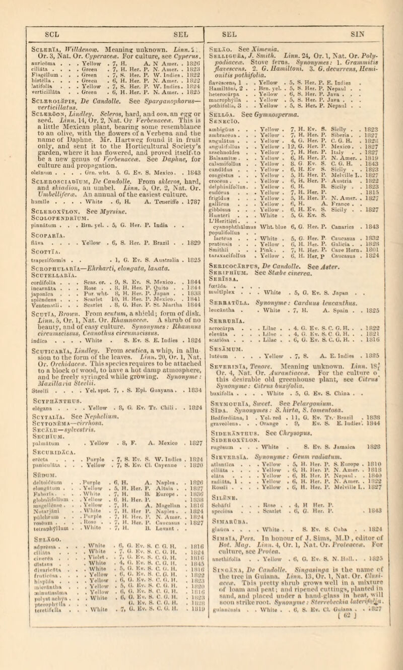 SCL SEL SEL SIN SclerTa, WiUdenoio. Meauinsf unknown. Linn.i. Or. 3, Nat. Or. Cyperacetz. For culture, see Cyperus. RuricOma . . . Yellow . 7, H. A. N Amer. . 1820 ciliilla .... Greert . 7, H. Her, I\ N. Amer. . 1B28 FI-iRellum . . .Green . 7, S. Her. P. \V. Indies. 1822 hirtella . . . . Green . (>, H. Her. P. N. Amer. . 1822 ?nlifoUR . . . Yellow , 7, S. Her. P. W. Indies. 1824 rcrticill&ta . . Green . G, H.Her. P. N. Amer. . 1825 SclerolBpis, Be Candolle. See Sparyanojjhorus— verticillafus. ScLBRuoN, Lindley. $cleros, bard, and oon. an or seed. Linn. 14, Or. 2, Nat. Or Verbcnacea. This is a little Mexican plant, bearing some resemblance to an olive, with the flowers of a Verbena and the name of Daphne. Mr. Ilartwe}? found it in fruit only, and sent it to the Horticultural Society’s Eardeu, where it has flowered, and proved itself.to e a new cenus of Verbenacea. See Bapkne, for culture auu proppgation. oleln'iin .... Gra. wlit. 5. G. Kt. S. Mexico. . 1843 ScLERO.sciAt)tuM, Be Candolle. From skleroe, hard, and sliiadion, an umbel. Linn, b, Or. 2, Nat. Or. Umhellifera. An annual of the easiest culture, humlle .... Wiiite . G, H. A. Tnieriffe . 1787 ScLEROxfLox. See Myraine. ScOLOPE.NDHlUM. pinnAtum . . . Brn. jel. . 5, G. Her. P. India . . ScoparTa. fl.lvA .... Yellow . 6, S. Her. P. Brazil . . 1829 ScottTa. IrapczifOrmii . . . I, G. Ev. S. Australia . 1825 ScrophularTa—Ehrharti, elongata, lanata. Scutellaria. cordifolla . . . Scar. or. . 9, S. Er. S. Mexico. . 1844 incarnfita . . . Ruse . . 8, H. Her. P. ^uito . . 1841 japonica . • Pur H’lit. 8, H. Her. P. Japan • . 1838 Bpu'ndent . • . Scarlet lo, H. Her. P. Mexico. . 1841 Veuteii.uli. . . Senriet • 8, G. Her. P. St. Martha 1844 ScutTa, Tirown. From scut am, a shield; form of disk. Linn, b, l)r. 1, Nat. Or. lihamnneetp. A shrub of no beauty, and of easy culture. Synonymee: Rhamnuz circumscissue. Ceanothna circtunacissua. indteu .... While . S. Er. S. E. Indies . 1024 ScuTiCAatA, Lindley. From acutica, a whip, in allu sion to the form of the leaves. Linn. 20, Ur. 1, Nat. Or. Orchidacete. 'J’liissiu'cics requires to be attached to a block ot wood, to have a hot damp atmosphere, and be freelv syringed while growing. Hynonyme : Maxillatia liteelii. Steelti .... Yel. spot. 7t • S. Epi. Qimyann. . 10S4 ScYriiXxTWUS. elCjiptDa .... Yellow . 8, 0. Kr. Tr. Chili. . 1824 ScytalTa. See JS'ephclium. ScYTowKM A—ciVrAwiru. S EC X i.E—aylveat ria. SeciiIum. palinAttiin . Yellow . 8, F. A. Mexico 1827 SrcuriuXca. er^tn . . . . Purple . 7. S. Ev. S. W. Indice 1824 paniculAtA . . . Yellow . 7> B. Ev. Cl. Cnyeiine 1820 SilniiM. d4‘ltoi<!siim . Ptirplo 0, H. A. Nsplei. 182r> eloiirf&Uim . . Yellow . 6. H. Her. P. AltRia . 1827 Kehorlu. . . . White 7> H. H. Europe . 183G f^hibiilih'llum . . Yellow . G. 11. Her. 1'. 1838 . Vrilow 7t II- A. MRgelhin IHIG NotnrjAni . White . 7. H. Her P. Nftplee. 1824 pillchrum . . . Purple 7, II. Her. P. N- Amer. 1824 rnBOiiin . • • , Kobo . . 7. H- Her. P. Cnucmme 1827 telriipli^lluut . . White 7i H. U. Levniit . Spi.Xoo. HdprCiina . • • ciliritn . . , While . 0. G. Kv. 8. 0 O. H. 181G . While . 7. G. Kv. .H. (}. H. 1824 uincrCn . . Violet. . 7. U. Kv. 8. c. G. H. I8IG . White . 4. tJ. Kv. 8. C. G. H. 184.ft rtivaricSlA . . . White . ft, 0. Kv. 8, C. G. H. . IHlG friilirOvA . . • . Yellow . (5. G. Kv. H. C. G. H. 1822 . • . . Yellow . G, G. Kv. .8, (». H. . 1823 iDlcrAiitlin . Yellow . .ft, G. Kv. 8. C. G. il. . 1820 minutiisimn . Yellow . G, G. Kv. 8. V. G. H. . 18IG pulyet nclivn . . White . G, 0. Ev. 8. V. G. H. . 1H23 ptrrophvlm . . (1. Ev. H. ('. G. it. . 1828 toielil'illa ! While . 7, G. Ev. S. C. G. 11. - mill Selao. See Ximenia. SelliguBa, J. Smith. Linn. 24, Or. 1, Nat. Or. Poly- podiacecB. Stove ferns. Synonymea: 1. Grammitxa jiuveacena. 2. G. Uanxiltonx. 3. G.decurrena,JIenii- onitia pothi/olia. davt-sventi, 1 . . Yellow . 5, S. Her. P. E. Indies . Hamiltdni, 2 . . Hrn. yel. • 6, S. Her. P. Nepau] . . heteroo&rpa . . Yellow . G, 8. Her. P. Java . . macrophylla . . Yellow . 5, 8. Her. P. Java . . pothitnlid, 3 . . Yellow . 5, 8. Her. P. Nepaul . . Selloa. See Gymnosperma. Senkcio. ambiguus . . . Yellow . 7. H. Ev. S. Sicily . 1B23 aiiibraceu&. . . Yellow . 7, H. Her, P. SibeHa . . 1827 an^uUtuB . . . Yellow . 4, G. Her. P. C. G. H. . 1828 iingulifrllus . . Yellow . 12, 0. Her. P. Mexico. . 1827 arachnoldes . Yellow . 7. H. Her. P. Italy . . 1827 Balsamftee. . . Yellow . 6, H. Her. P. N. Amer. . 1819 calemifolliis . . Yellow . 8. 0 Ev. S. C. G. H. . 1843 Candidas . . . Yellow . 6. H. Kv S. Sicily . . 1823 congvHtus . . . Yellow . 5, H. Her. P. Melville I.. 1827 croceus • . Yellow . 6, H. Her. P. Austria 1822 delphinifoltus. . Yellow . 6. H. B. 8icily . 1823 eudOrus . . . Yellow . 7, H. Her. P. IBl.ft frigidua . Yellow . 5, H. Her. P. N. Amer. . 1827 gailli'iis . . . Y’ellow . G, H. A- France . . gibbOsus . . . Yellow . 6, H. Ev. 8. Sicily . . 1827 Hunteri , . . 'White . 5, G. Ev. S. L'Herili4ri. . • cyannnhtli&Imue WliLblue 6, G. Her. P. Canaries . 1843 populifullus lacteus . . ’. White . 5, 0- Her. P- Caucasus . 1832 prat^nsis . . . Yellow . G. H. Her. P. Galicia . . 1828 Smithli . . . Pink. . 7. H. Her. P. Cane Horn. 1801 taraxacifullus . Yellovv . G, H. Her, p Caucasus . 1824 SericocXrpcs, Be Candolle. See Aater. SkripuIum. Sec Stabe cinercfl. Sbbissa. fectida. . . multiplex . . . Wiite . 5, 0. Ev. S. Japan . SerbatOla. Synonxjme ; Cardxtua leucanthxtz. leucAntha . . White . 7, H. A. Spain . . 1825 SerrorTa. acrocArpa . . . Lilac . . 4. 0. Ev. S. r. G. H. . . 1822 elevAta . . . . . Lilac . . 4. 0. Kv. 8.C G. H. . . , 1821 BcAiidan . . . . . Lilac . . G, 0. Ev. S. C. G. H. . . . 181G Sbsamum. luteum . . . . Yellow . 7i A. E. Indies 1885 SkvkrinTa, Tenorf. Meaning unknown. J.inn. Or. 4, Nat. Or. .4urn«tiocc<p. For the culture this desirable old greenhouse plant, see C*»/ru«' Synonyme: Cxtms 6«jri/o/«a. buxifidU .... White . 5, 0. Ee. S. China . . Sry.mourTa, Sirref. See Pelargonium. SIda. Synonymea: S. Mrta, S. tomentoaa. Hedfordiftna, 1 Yel. red . 11, G. Kv. Tr. Brazil . 1838 gravcolens. . . Orange 9, Ev. 8. E. ludiet'. 1844 SinEuXwTnus Sidp.uuxYlun Sec Chryaopxis. rugOsum . . . White . S. Ev. S. Jamaica 1828 StEVBRslA. Synonyme: (rpum rcK/iafum. allnntlca . . Yellow . 5, H. Her. P. 8. Europe . 1810 ciliAU . . . Yellow . G. H. Her. P. N- Amer. . 1818 elain . . . . Yellow . G, H. Her. P. Nepaul . 1840 radiAta, 1 . . . Yellow . G, H. Her. 1*. N. Amer. . 1822 Kouli . . . . Yellow . G, a. Her. P. Melville I. 1827 Sn.ilNE. SohAfti . . Rose , 4, H Her. P. ■peciosa Scarlet G. 0. Her. P. 1843 SimarOda. gluuca . . , . White . . S. Kv. S. Cuba 1824 SimsYa, Vera. In honour of J. Sims, M.D , editor of Hot. Mag. Linn. A, i)r. Nat. Or. l‘ro/ctice<f. Fur culture, sec Piufea. nnetlilfolU . . Yellow . G, 0. Ee. 8. N. Hall.. . 1825 SixoXXA, Be Candolle. Singaainga is the name of the tree it\ (luinna. 7.tnft. *13, Or. I, Nat. Or. nccrf*. Tliis itretty shrub gmws well in a iniMure »»f loam and peat; and ripened cuttings, planted in snttd, and placed under a hand-glass in heat. 'vUl Boon strike roi't. Synonyme: Strrrebeckia lutei'ifid,^a. gvilanintli . . White . . G, S. Ev. Cl. Uulnna . . <D«7 ( f.2 J
