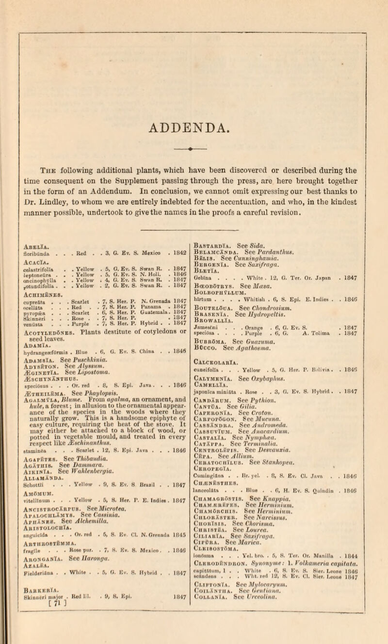 ADDENDA The following additional plants, which have been discovered or described during the time consequent on the Supplement passing through the press, are here brought together in the form of an Addendum. In conclusion, we cannot omit expressing our best thanks to Dr. Lindley, to whom we are entirely indebted for the accentuation, and who, in the kindest manner possible, undertook to give the names in the proofs a careful revision. Abelia. doribiioda . . . Red . . 3. G. Ev. S. Mexico 1842 AcacIa. eeiastrifoHa • . Yellow . 5, 0. Ev. 8. Swan R. . 1847 leptoneura . . oncioophylla • ^luodifolla . . . Yellow . 5, G. Ev. S. N. Holl. . 1846 . V'elJow . 4, G. Ev. 8. Swan R. 1847 . Yellow . 2, C. Ev. S. Swan R. . 1847 ACHISdE.NES. cupre&ta . . . Scarlet . 7. S. Her. P. N. Grenada 1847 ncellAta . . Red 7, 8. Her. P. Panama . 1847 pvropsa . . bhinneri . . . Scarlet 6, 8. Her. P. Guatemala. 1847 . Rose . 7, 8. Her. P. 1047 veodaia . Purple 7, S. Her. P. Hybrid . ! 1847 Acotyi.ed6ne8. Plants destitute of cotyledons or seed leaves. AdamIa. hydraDgesefOnni# . Blue . 6, G. Ev. S. China . . 1846 AdamsIa. See Puschkinia. Adyseton. See Alytium. ^ginetTa. See Lijmtoma. iEsCHYNASTHOS. •peciOBue . . . Or. red . 8, S. Epi. Java . . . 1846 iSTBEiLEMA. See Phaylopsh. AgalmCla, Blume. From ayalma, an ornament, and hide, a forest; in allusion to tlie ornamental appear¬ ance of the species In the woods where they naturally grow. This is a handsome epiphyte of easy culture, requiring the heat of the stove. It may either be attached to a block of wood, or potted in vegetable mould, and treated in every respect like JEHchinanthu*. atamio^a • . • Scarlet . 12, S. Epi. Java . . . 1840 Agapetss. See Tkibaudia. AgAthis. See Dammara. AiKi«lA. See JVahlenbcrgia. XhhAMkyDA. SebotUi . . . Yellow . 9, 8. Ev. 8 Braail . . 184? AmOmum. vitelltoum . . ■ Yellow . 6, S. Her. T. E. Indiea . 1847 AncistrocXbpus. Microtea. .'VpaloculAmys. See CaMinia. ApuAnes. See Alchemilla. AbistolociiIa. aoguiclda • • Or. red . 6, 8. Ev. Ci. N. Orenada 1845 AnTIlBOSTEMMA. fragile . . . Koae pur. . 7. 8. Ev. 8. Meairo. . 1840 Aiio:<ganTa. See Ilarongu. A-zalBa. Fielderi6na . . Wliile . . 6, 0. Ev. 8. Hybrid . . 1847 BabkerTa. SkioHeri major . lied lil. . 9, 8. Epi. 1847 [71 ] Bastabdia. See Sida. BelamcAnda. See Pardanthus. BSlis. See Cunninghamia. BebgenIa. See Saxifraga. BlbtTa. Oeblna .... Wliite . 12, G. Ter. Or. Japan . 1847 BrEODoTBYs. See Masa. Bolbofu?llum. hlrtum .... Whitiah . 6, S. Epi. E. Indies . . 1846 BoutelOda. See Chondrosium. BbasekIa. Sec Uydropcltia. BrowallIa. Jamestfii . . Orange . 6, 0. Ev. S. . 1847 speciOaa .... Purple . 6, G. A. Tolima . 1847 BubrO.ma. See Guuzuma, BOcco. Sec Agathogma. CalceolabTa. cuneifolla . . . Yellow . 5, 0. Her. P. Bi'livia. . 1846 CalymknTa. See Oxybaphus. CambllTa. japonica minifita . Rose . . 3, O. Ev. S. Hybrid. . 1847 CandArum. See Pythion. CantOa. See fUlia. CaperonTa. Sec Croton. CarpopOgon. See Mucuna. CassAndra. See Andromeda. CassijvTum. See Anacardium. CastalIa. See Nympfuca. CatAppa. Sec Termtnalia. Centrolupis. Sec Degvauxia. Cbpa. See Allium. CERATOcriiLua. See Sfanhopen. CeuopbgTa. * Cuniiiigiana . . Hr. yel. . 8, K. Ev. CI. Jiivrv . . 1840 Ch.«RBHTUE8. lanceolfltA . . . Hlue . . 0. H. Ev. 8. Quindin . 1840 Cqamagrustis. Sec Knappia. CuAMA^RfiPKS. Sec Ilemtinium. CuAMOnciiia. See Ilermininm. CiilorAsteu. See Narciagus. Ciiuulaia. See Choriama. CuuisTfiA. See/.ourrn. CiliarIa. See Saxifraga. CipOra. See Marica. Cl.KiaOHT6MA. ionAama . . . Yel. bro. . 6, S. Ter. Or. Munilla . 1844 CLEKOUfiNDHON. Synonyuie: f-'nlkameria ca2iitata. oapitAtum, I . . White . 0, H. Ev. 8. Hier. Leune 1840 acAodeiia . . Wht. red 12, 8. Ev. Cl. bier. Leone 1847 CliptonTa. Soe Mylocaryum. OoilAntiia. Set' (Mfiiliann. CollanTa. See Urceolinu.
