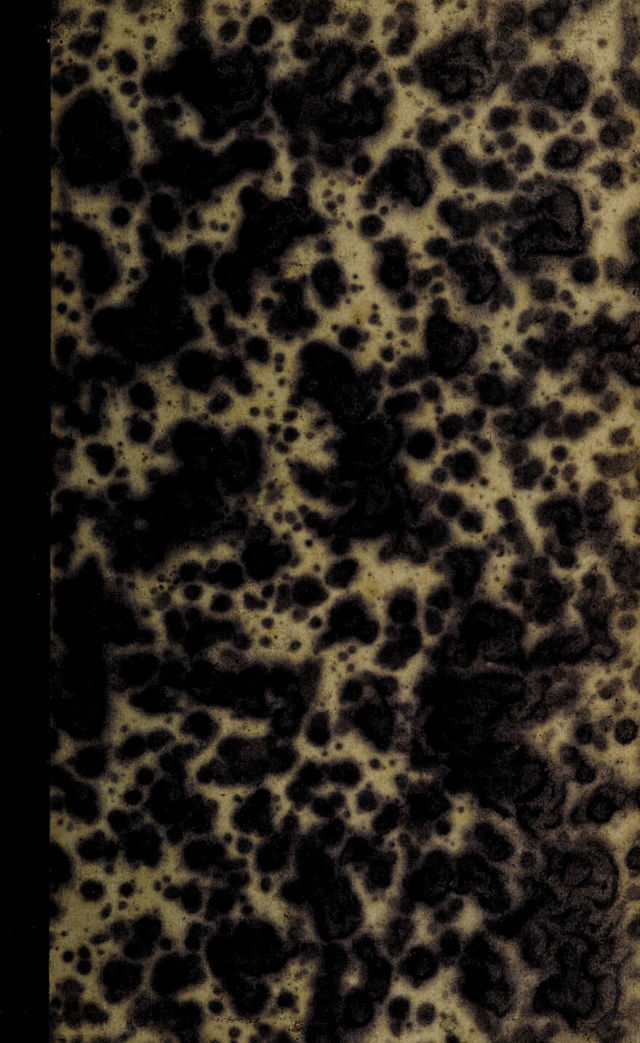 digitised image 1