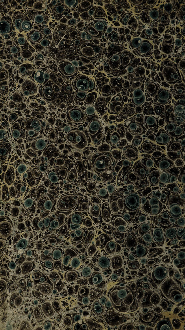 digitised image 2