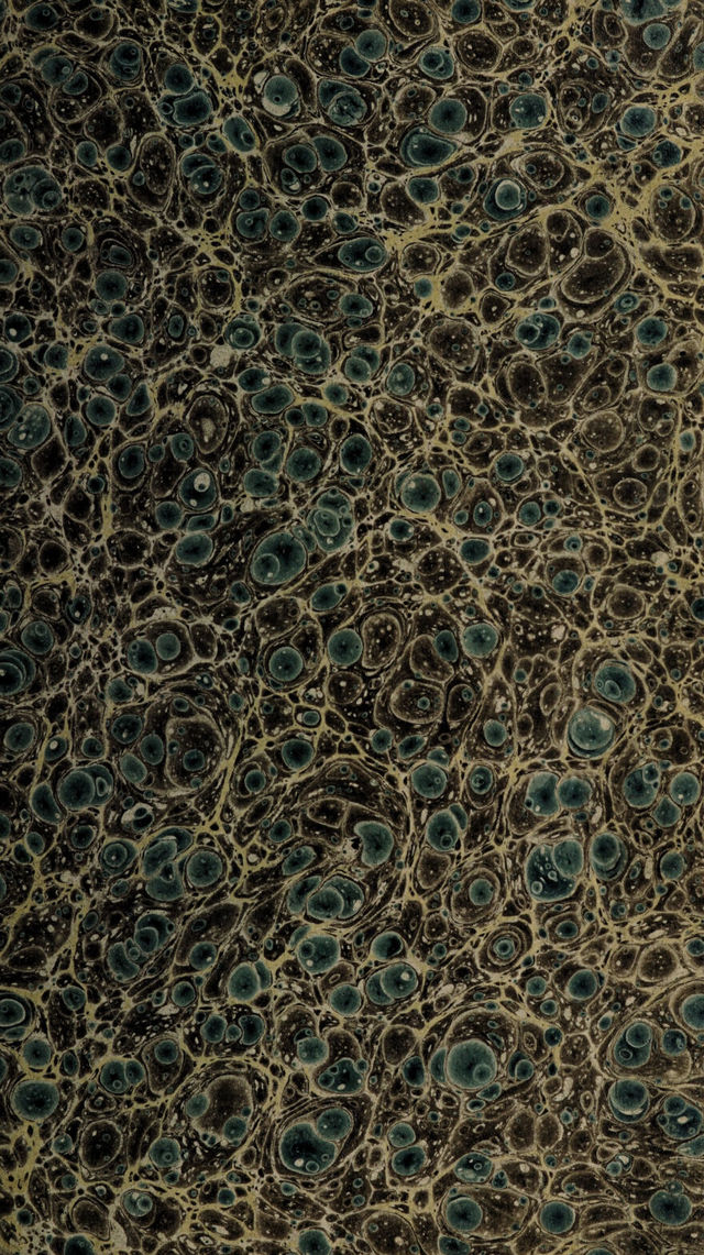 digitised image 3