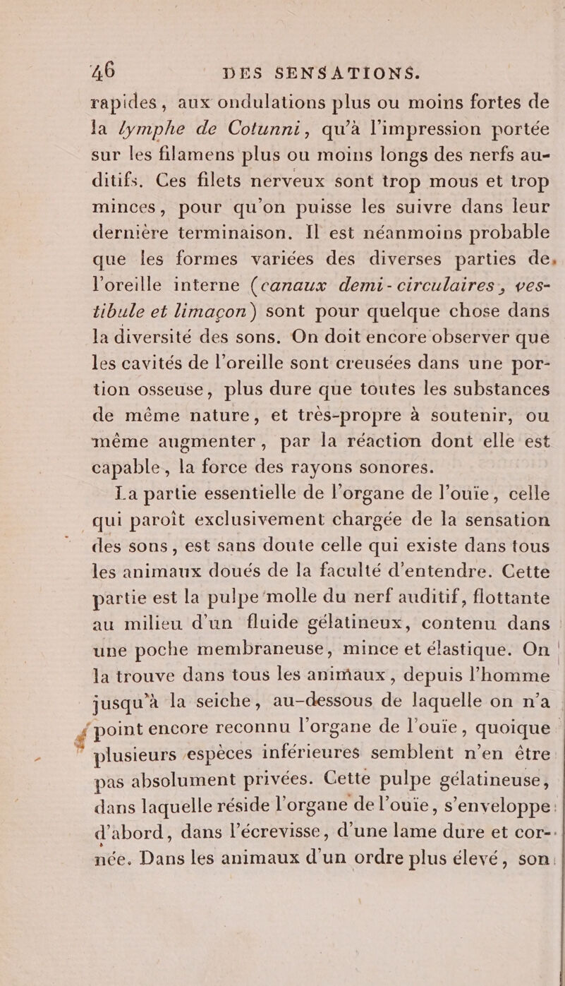 rapides, aux ondulations plus ou moins fortes de la /ymphe de Coltunni, qu’à l'impression portée sur les filamens plus ou moins longs des nerfs au- ditifs. Ces filets nerveux sont trop mous et trop minces, pour qu'on puisse les suivre dans leur dernière terminaison. Il est néanmoins probable que les formes variées des diverses parties de, l'oreille interne (canaux demi- circulaires, ves- tibule et limacon) sont pour quelque chose dans la diversité des sons. On doit encore observer que les cavités de l’oreille sont creusées dans une por- tion osseuse, plus dure que toutes les substances de même nature, et très-propre à soutenir, ou même augmenter, par la réaction dont elle est capable, la force des rayons sonores. La partie essentielle de l'organe de l’ouie, celle _qui paroit exclusivement chargée de la sensation des sons, est sans doute celle qui existe dans tous les animaux doués de la faculté d'entendre. Cette partie est la pulpe'molle du nerf auditif, flottante une poche membraneuse, mince et élastique. On la trouve dans tous les animaux, depuis l’homme jusqu à la seiche, au-dessous de laquelle on n’a ” plusieurs ‘espèces Re semblent n’en être pas absolument privées. Cette pulpe gélatineuse, dans laquelle réside l'organe de l’ouïe, s’env eloppe: d abord, dans l’écrevisse, d’une ire dure et cor-: née. Dans les animaux d'un ordre plus élevé, son.