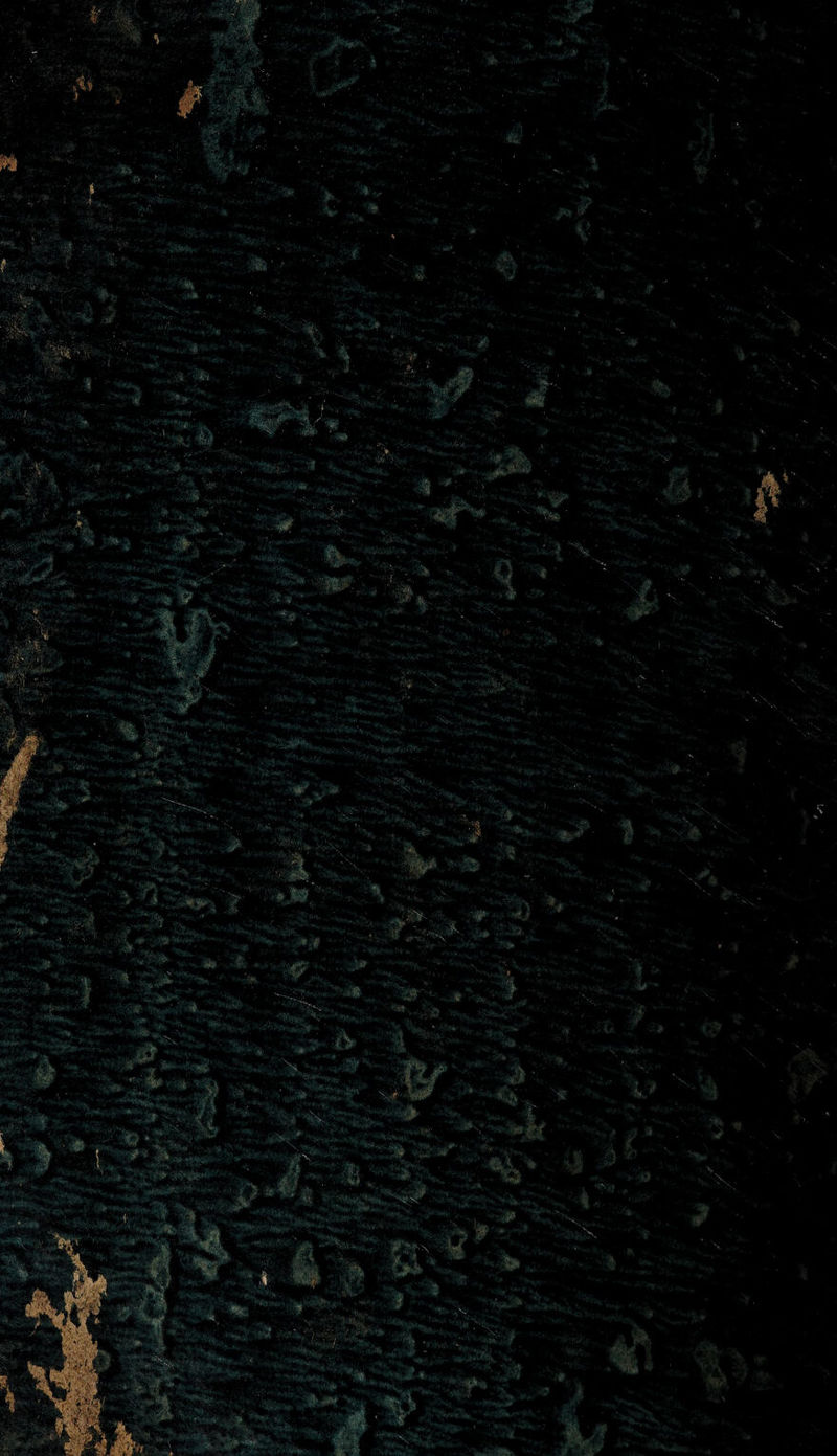 '.N •'.'«•■f'»' -.., •- ■ .'Ai ’i- •. -■ - . ■' . ^5.1..., '■ : V*î:. : . W . <«•.. ' T4. ■ '■ > • ^-V--X ■•* ■ 'A .^ .■-ft;- *'>•'•.., •v. -■.. ■h^.sua '“fv-; !*>», ' ' ,.«'rïr ' ■s . ■ V. ■• . ■ .  -m-i? '■' :  -•- ;'--v ^ . . •>1» i • &amp;#<. - ' * '. ■'^: ' ■■■•• ■ '• c.: ‘’f ■f' - • 'nM -IV ^ V Sf. , ^ VT*»' ï^î»- -